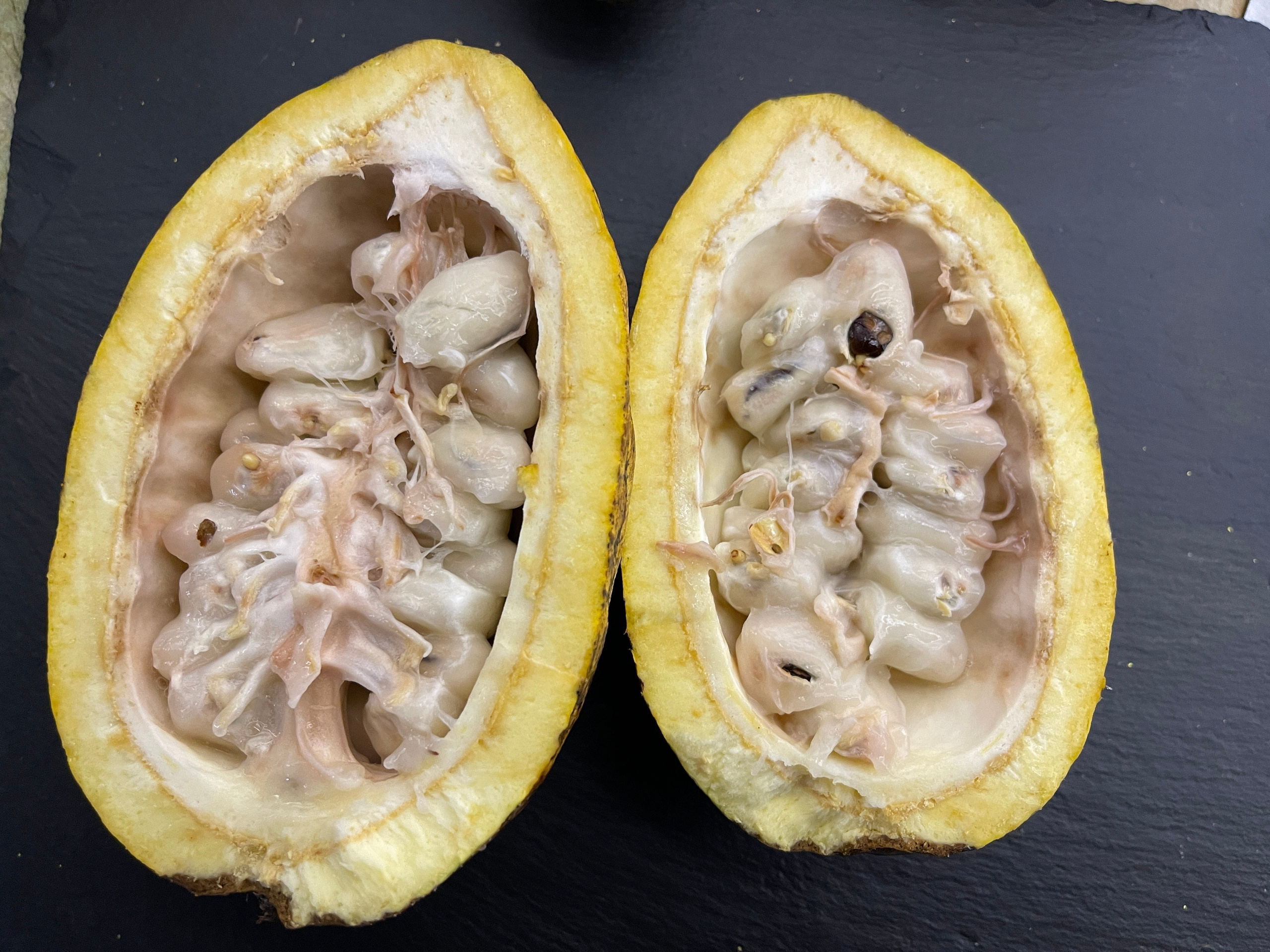 Экскурсии на кондитерскую фабрику