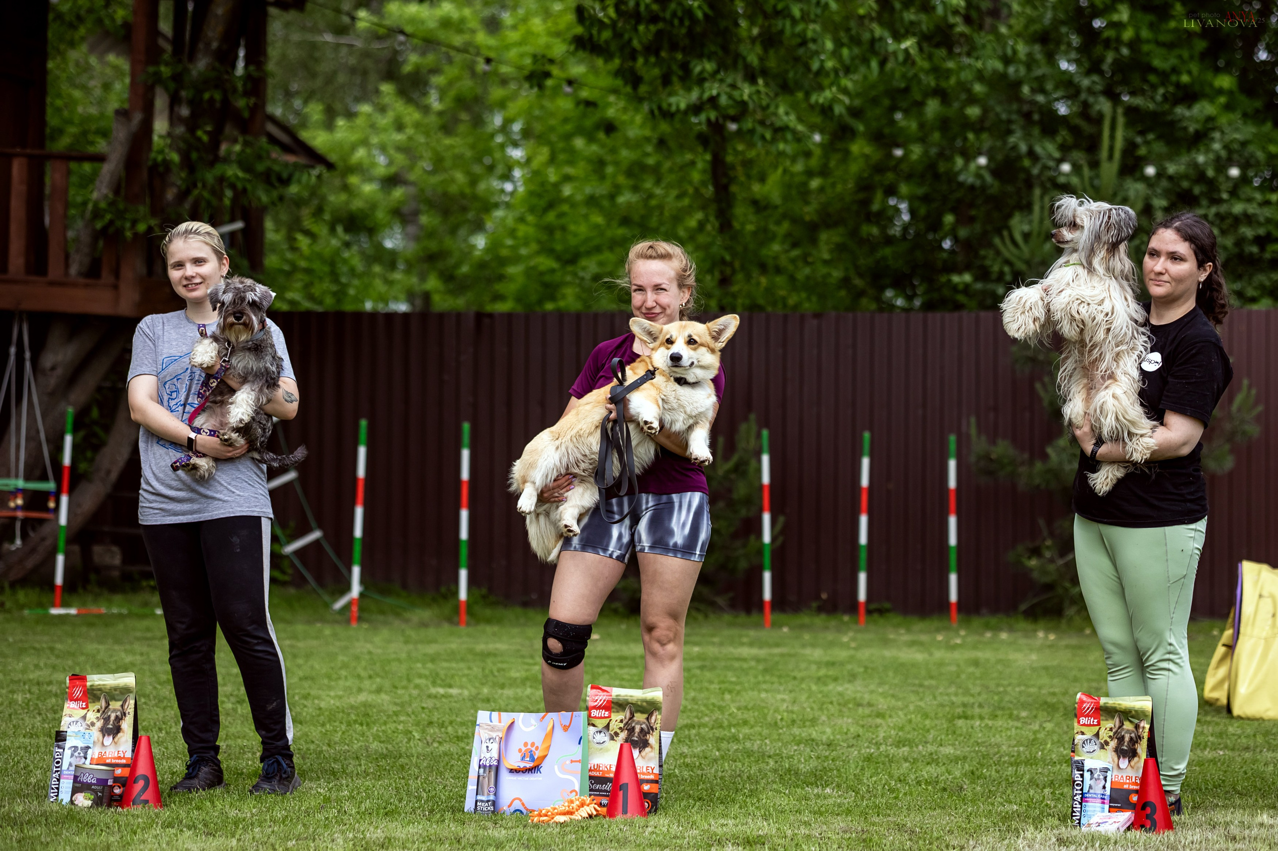 Аджилити Рыбинск. Фотограф анималист Аня Ливанова | Рыбинск