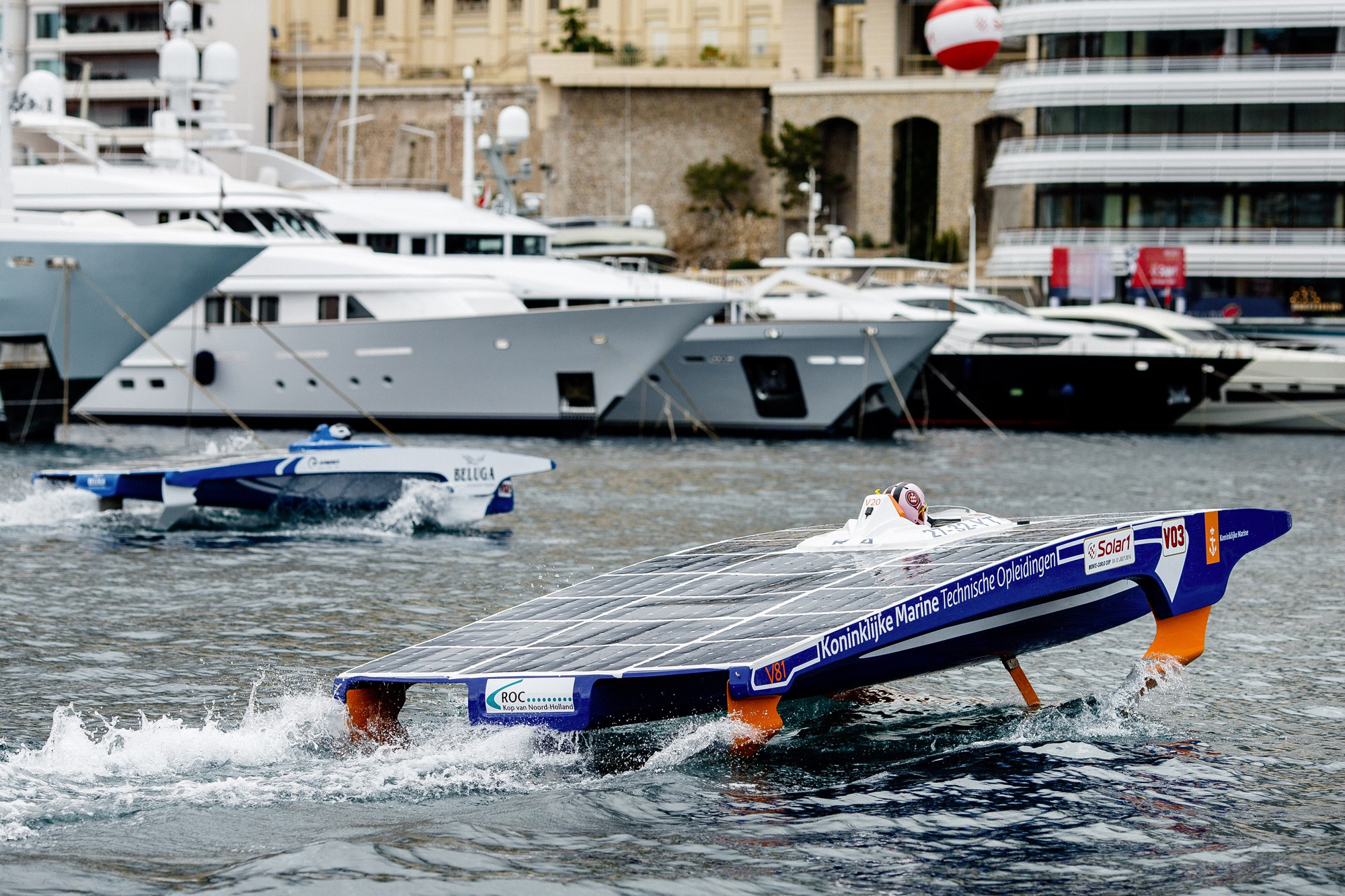 Report VIII. Veedoff