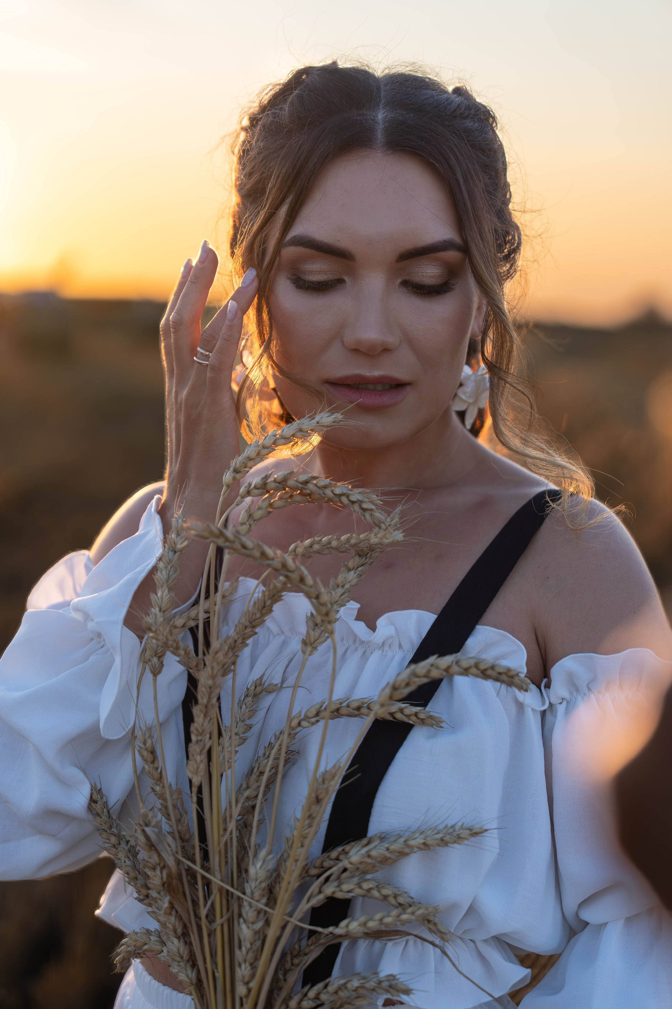 Пшеничные поля. Главная