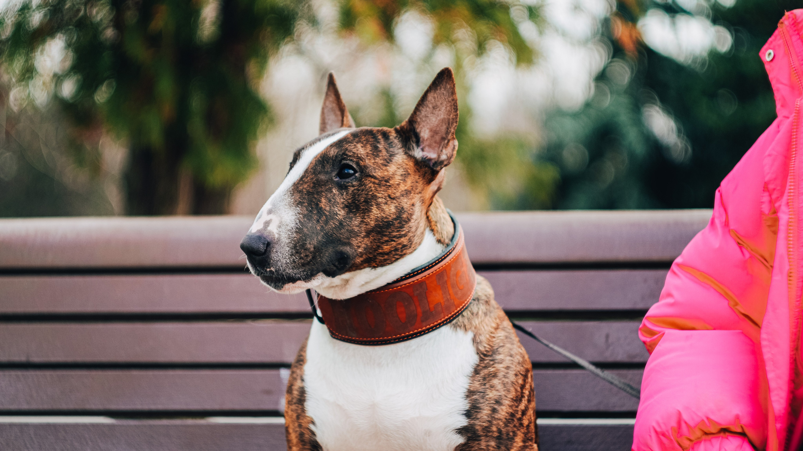 Стоимость. Профессиональный фотограф