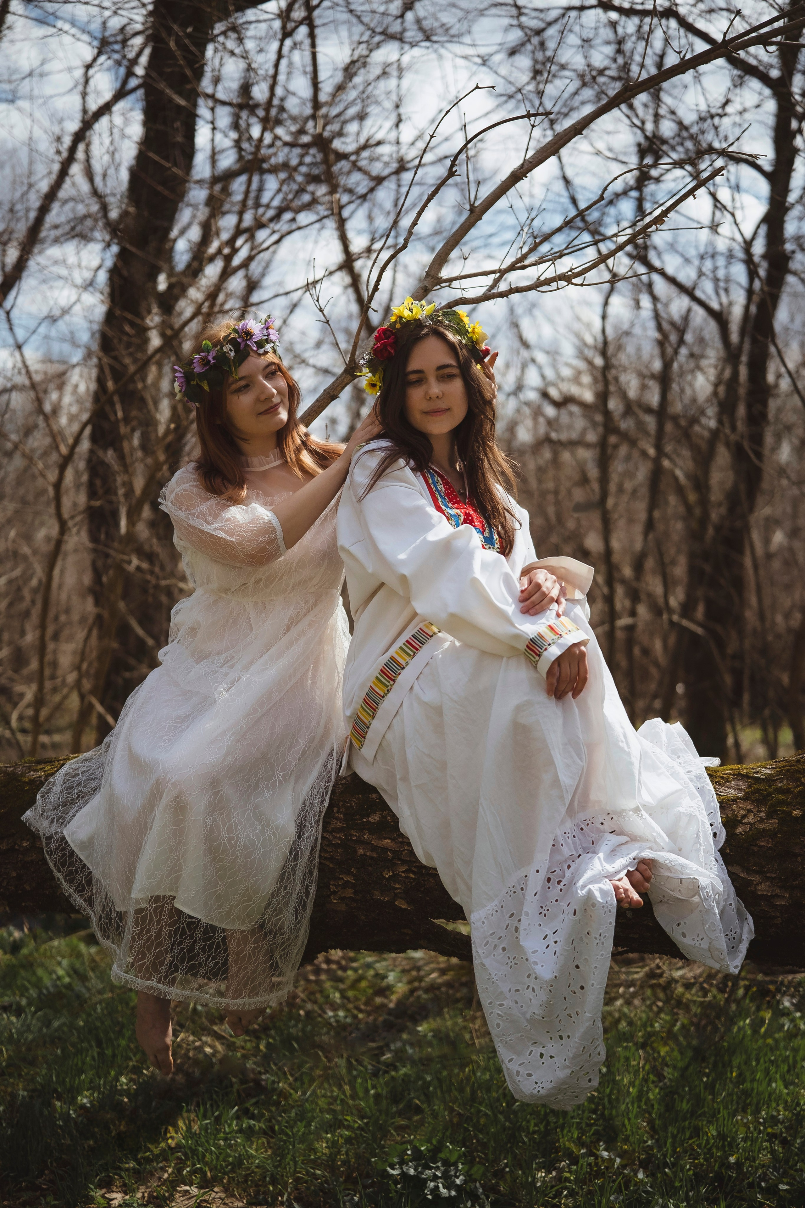 Зеленый остров. Главная