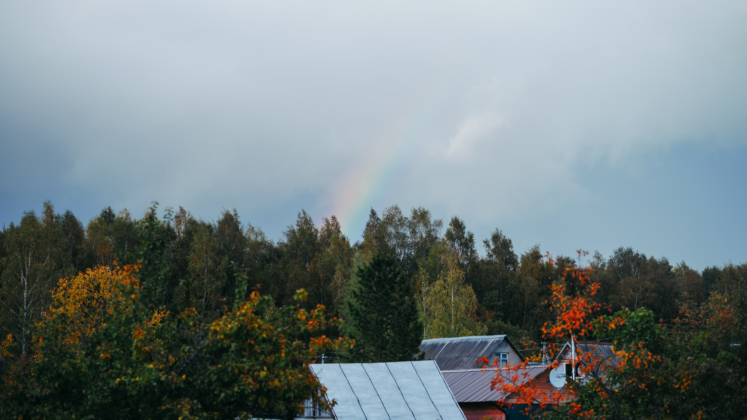 Невидимый спектр. Komonev