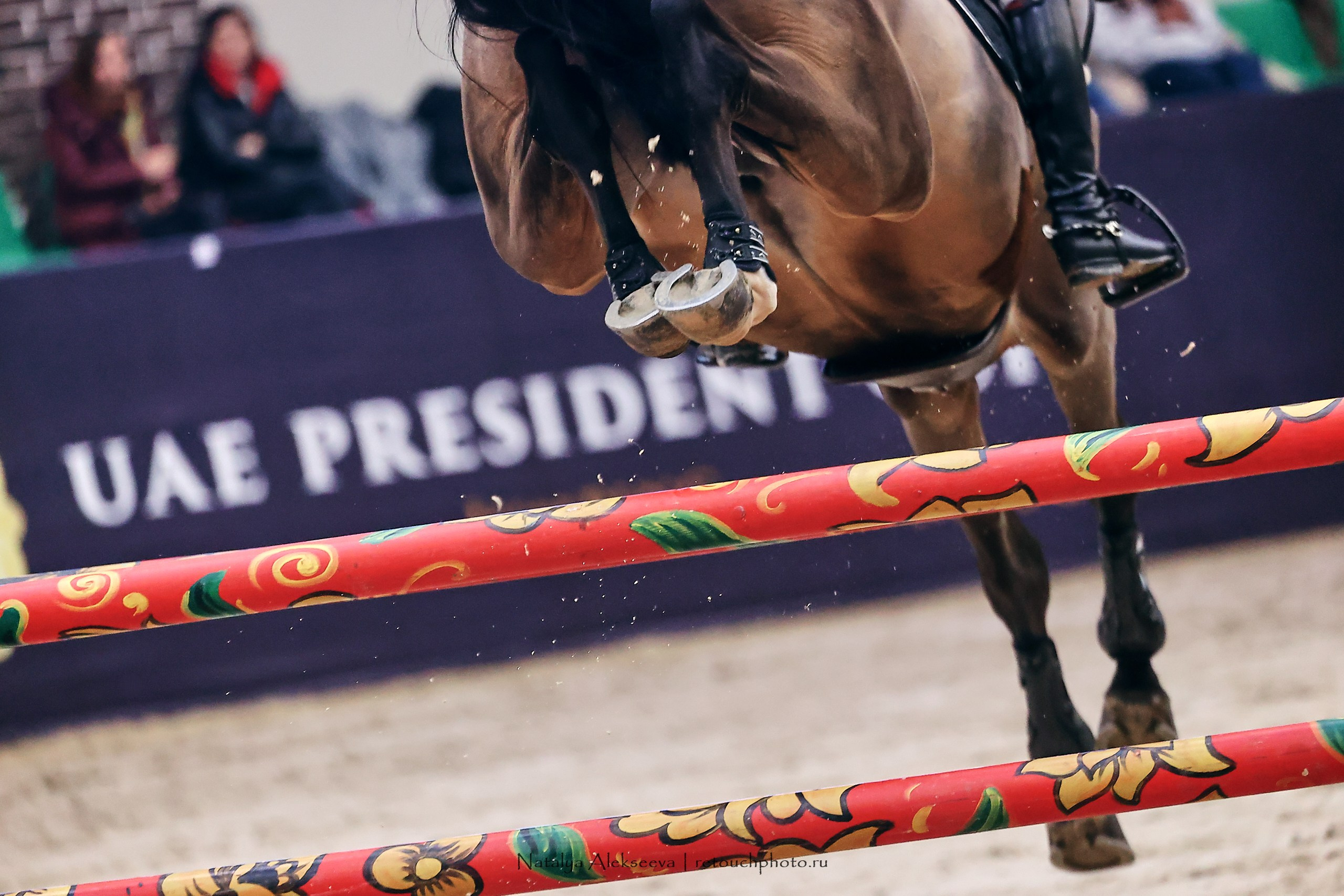 Кубок Президента ОАЭ по конкуру, Maxima Stables | 11'2023. Репортажный фотограф и ретушер в Москве Наталья Алексеева