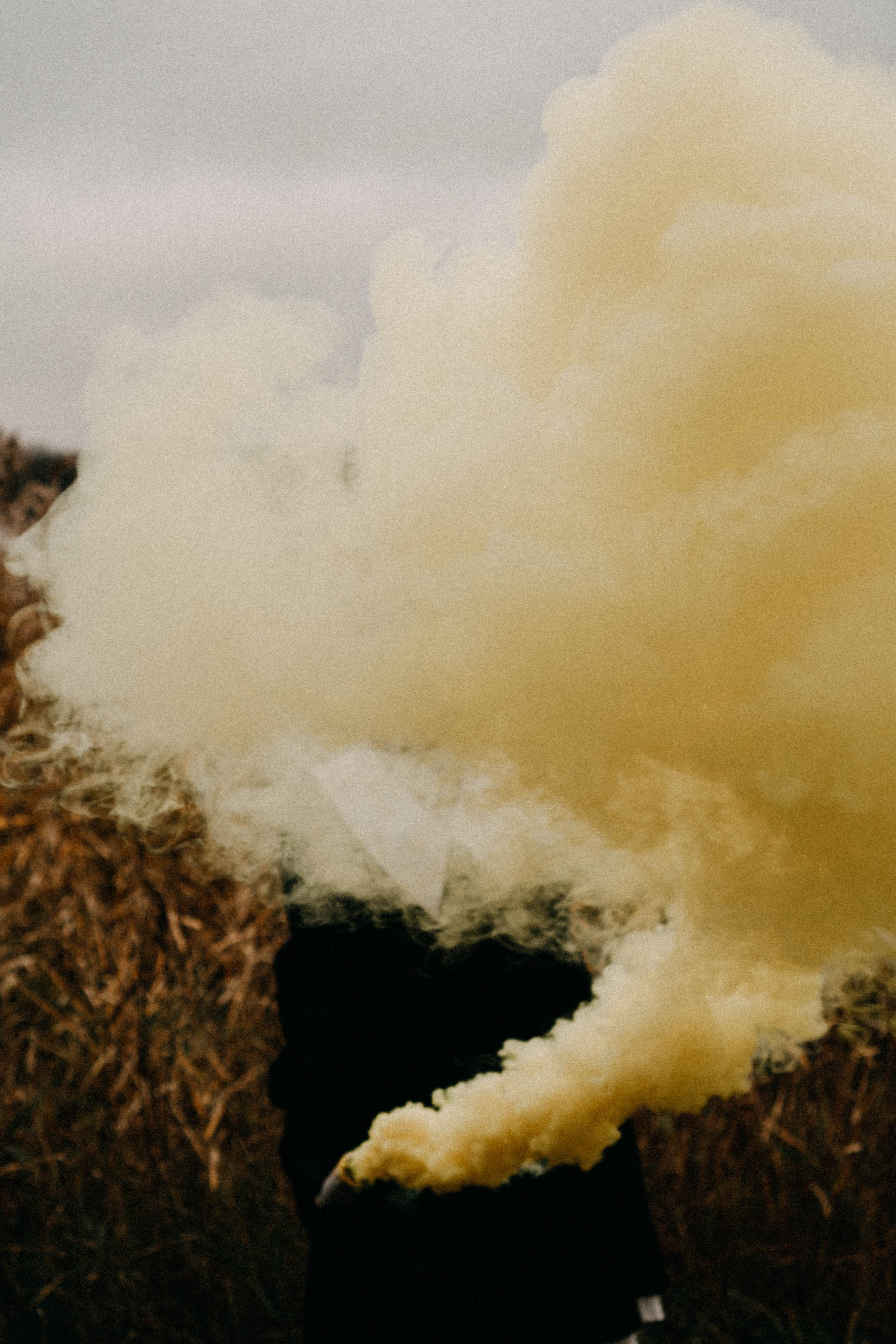 Осеняя. Профессиональный фотограф, Санкт-Петербург — Виктория Богомолова