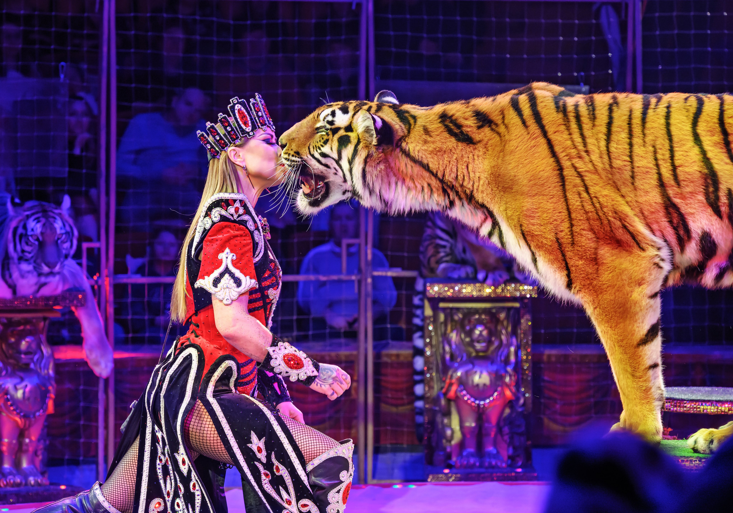 Шоу «Королевский цирк». Фотограф Андрей Пухов (Jazz)