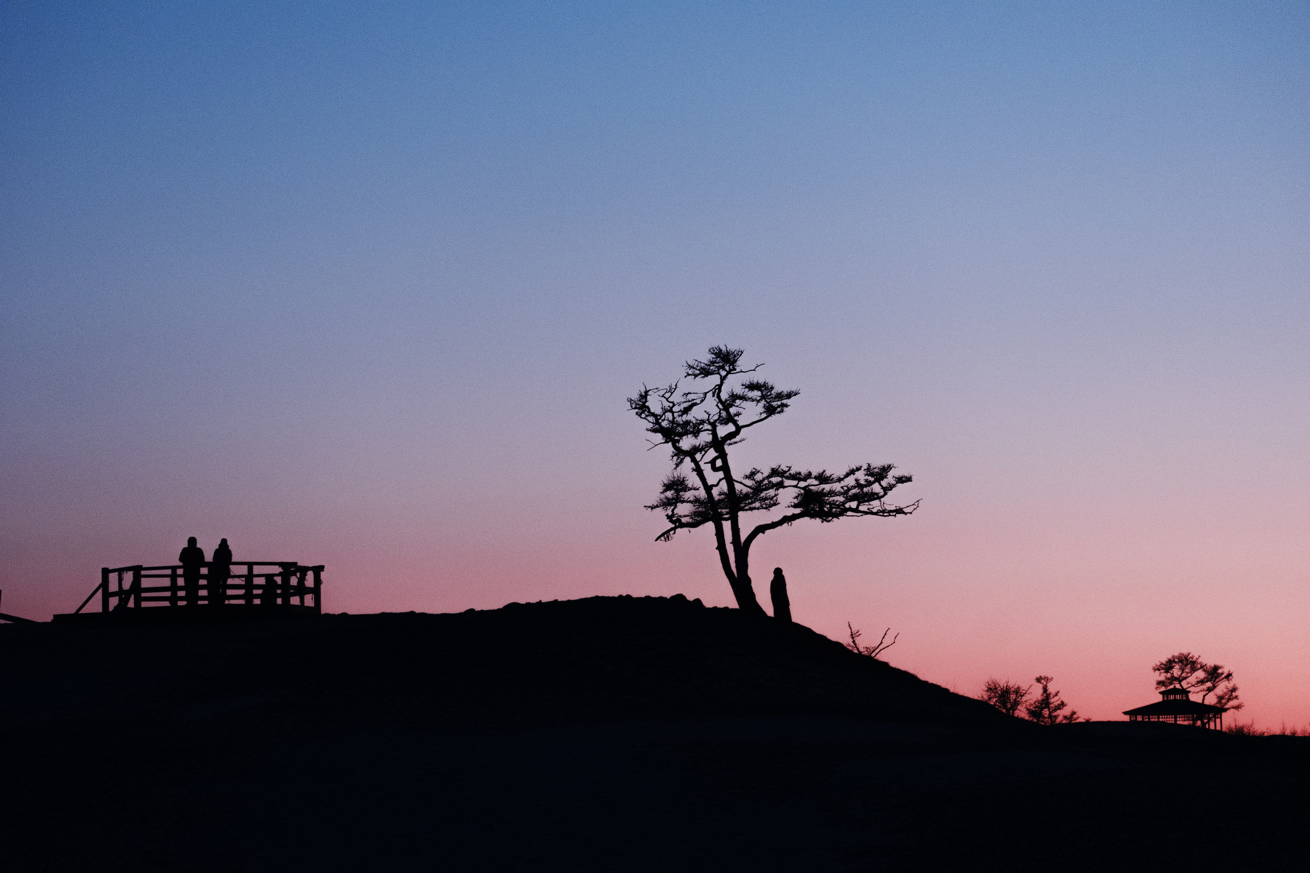 Landscapes. Irina Borodina