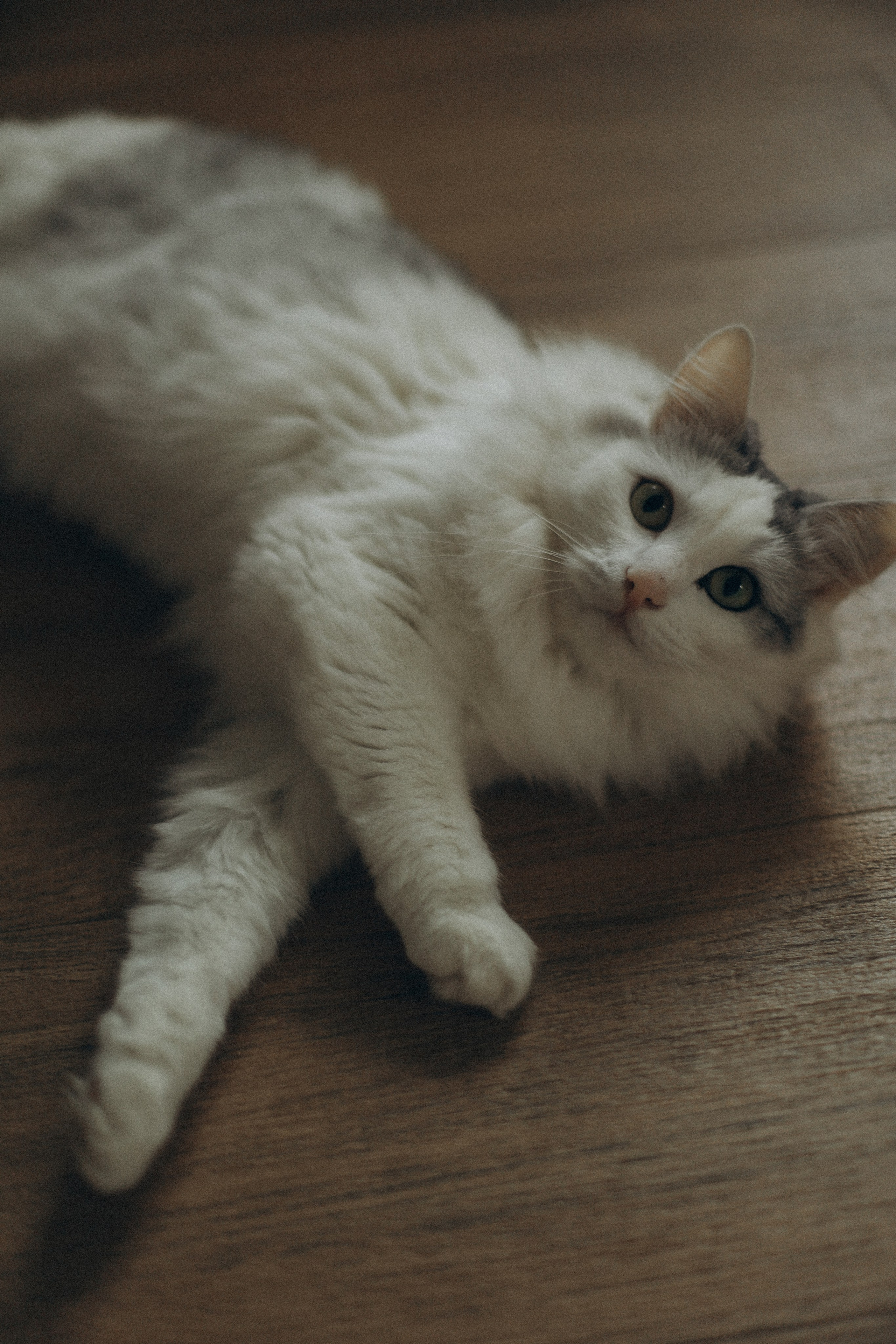 Настя, Саша и Василиса