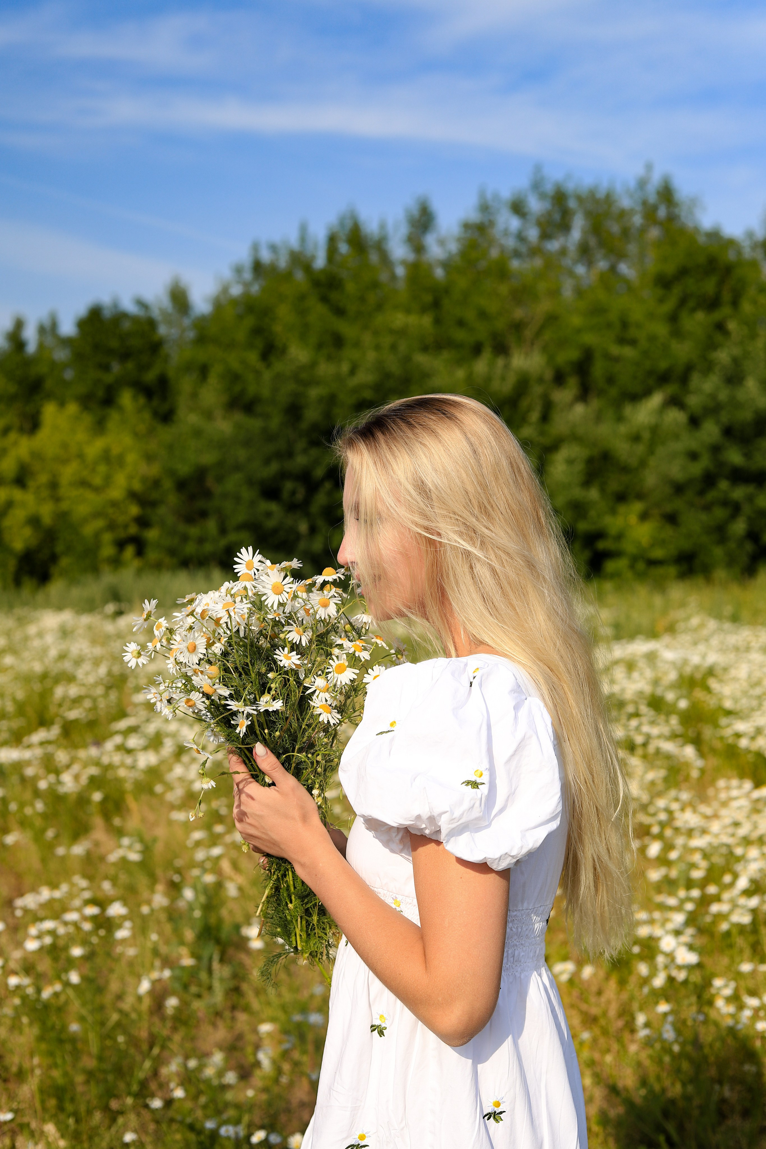 Ромашки Валентина 11.07. Главная