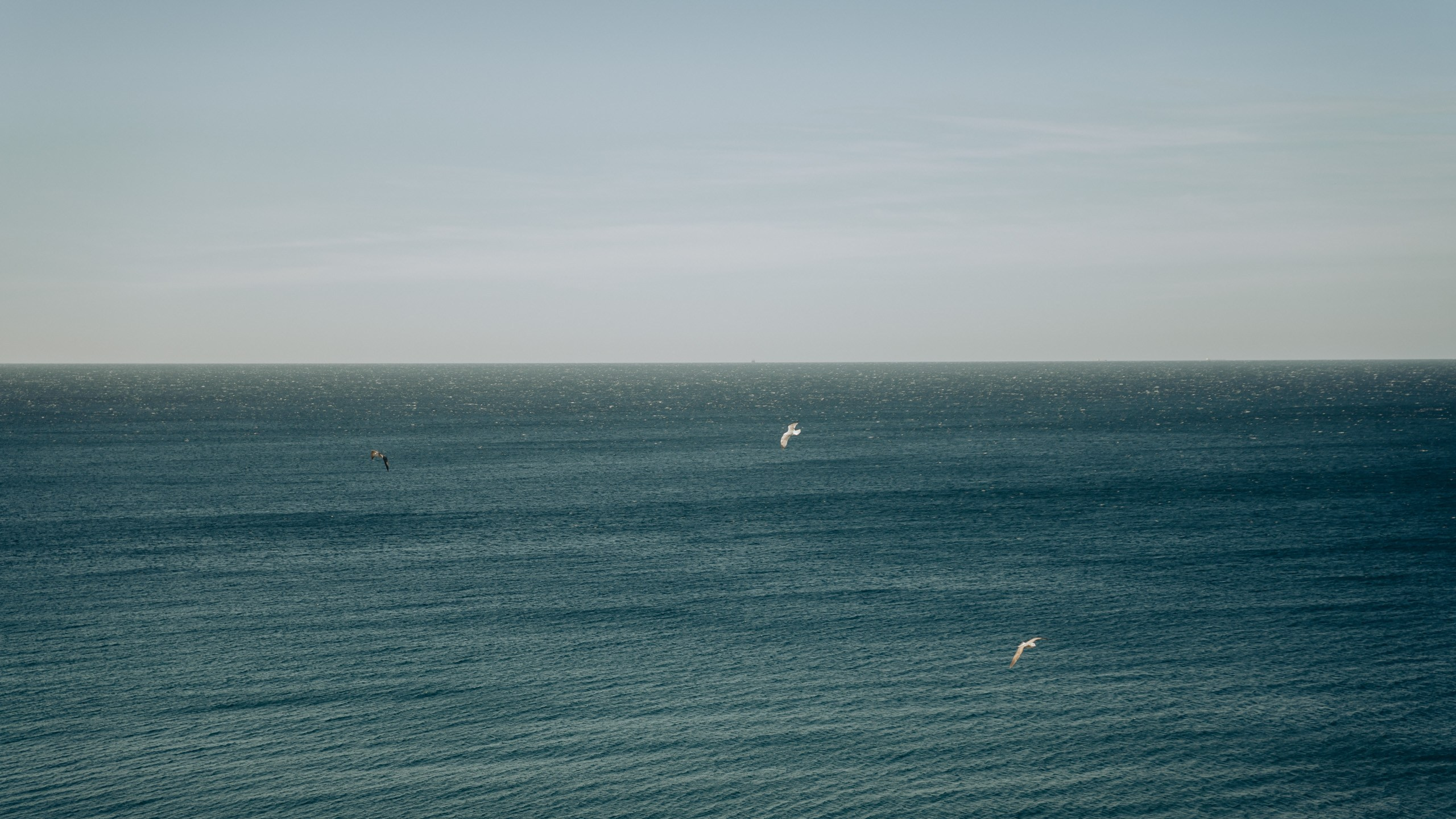 На кабриолете. Фотограф и Видеограф Анапа, Новороссийск, Краснодар. Алина и Женя