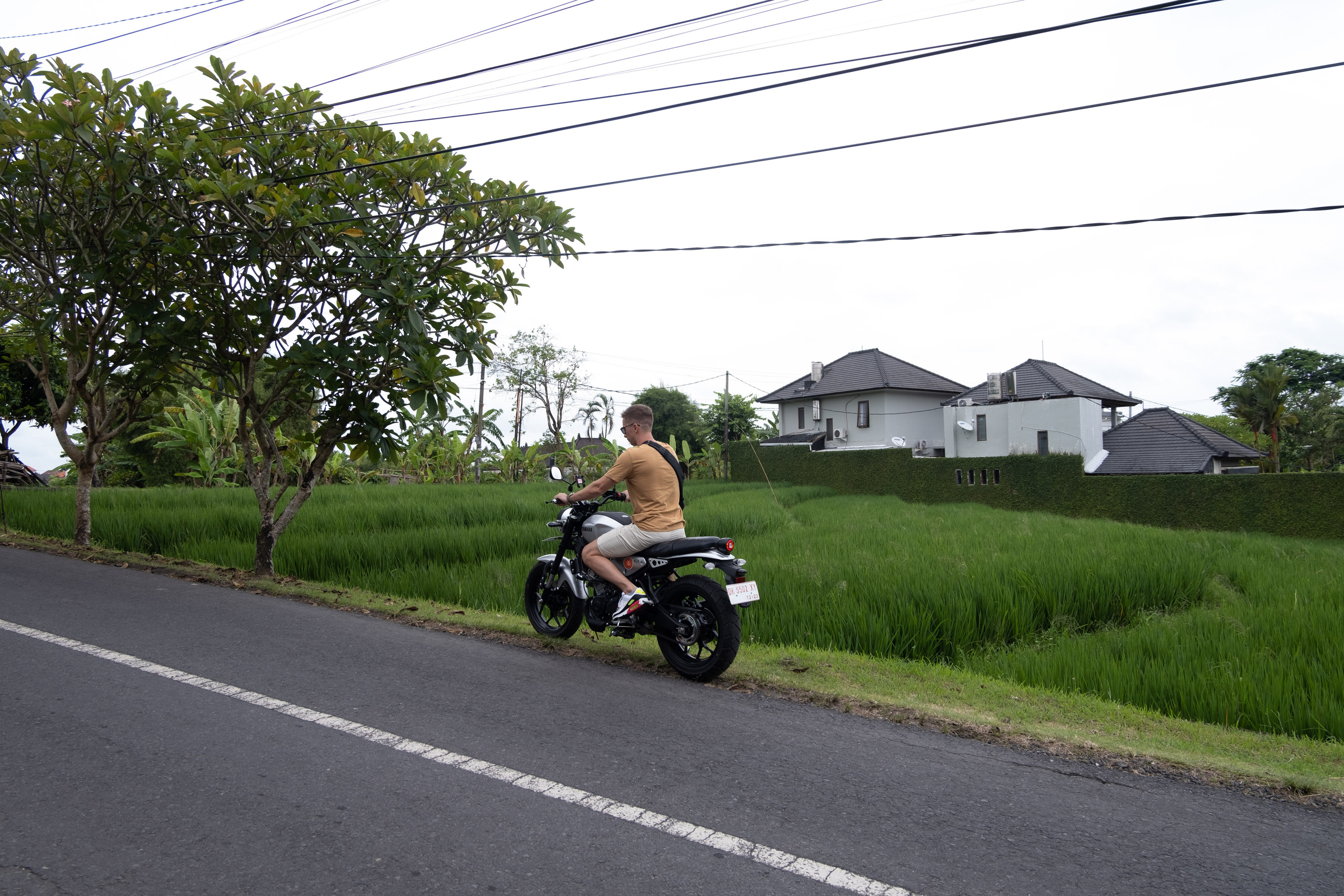 Bali|Dimitriy. Photographer Cyprus