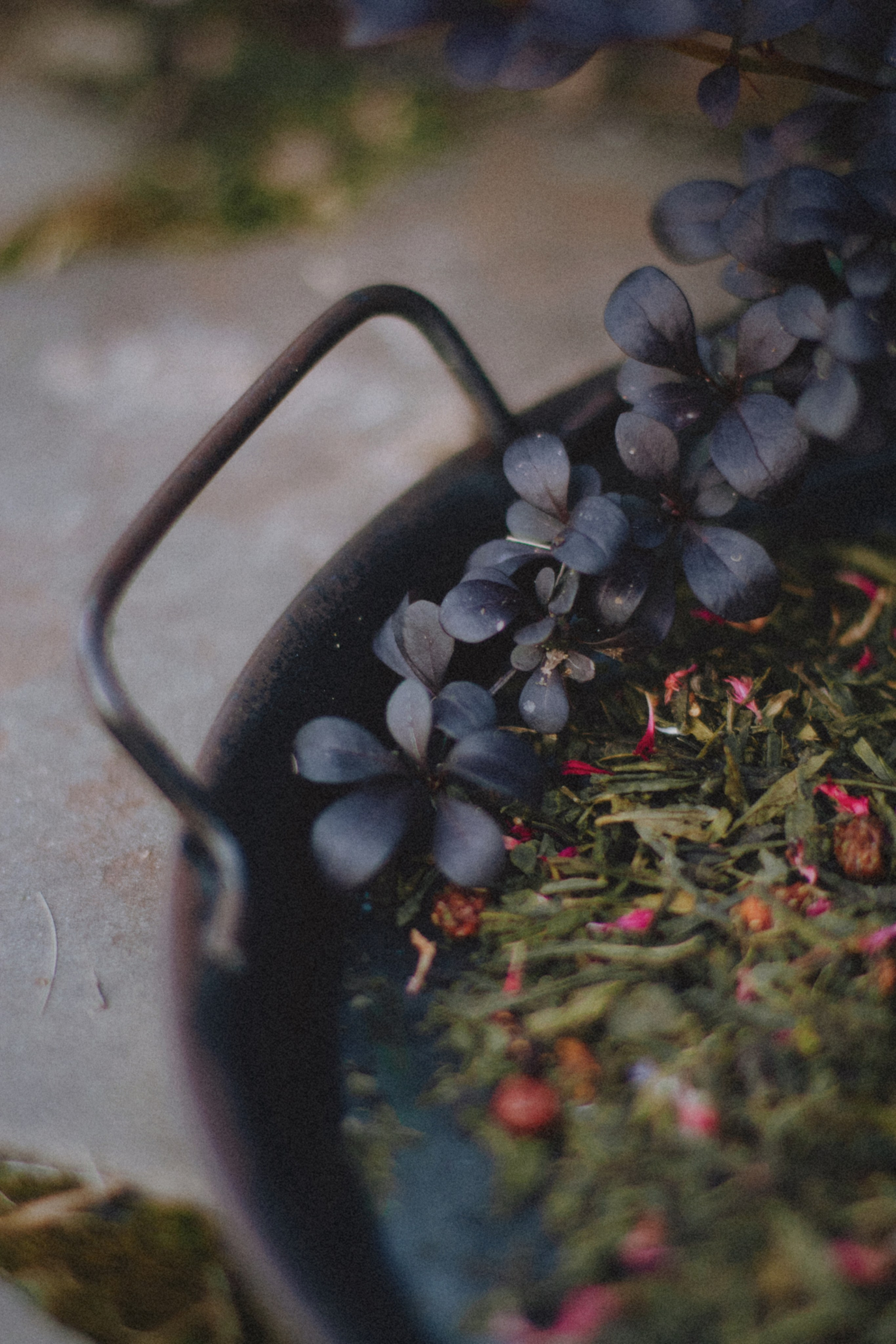 / P r o d u c t /. Nadi Sapunova photographer & visual storyteller