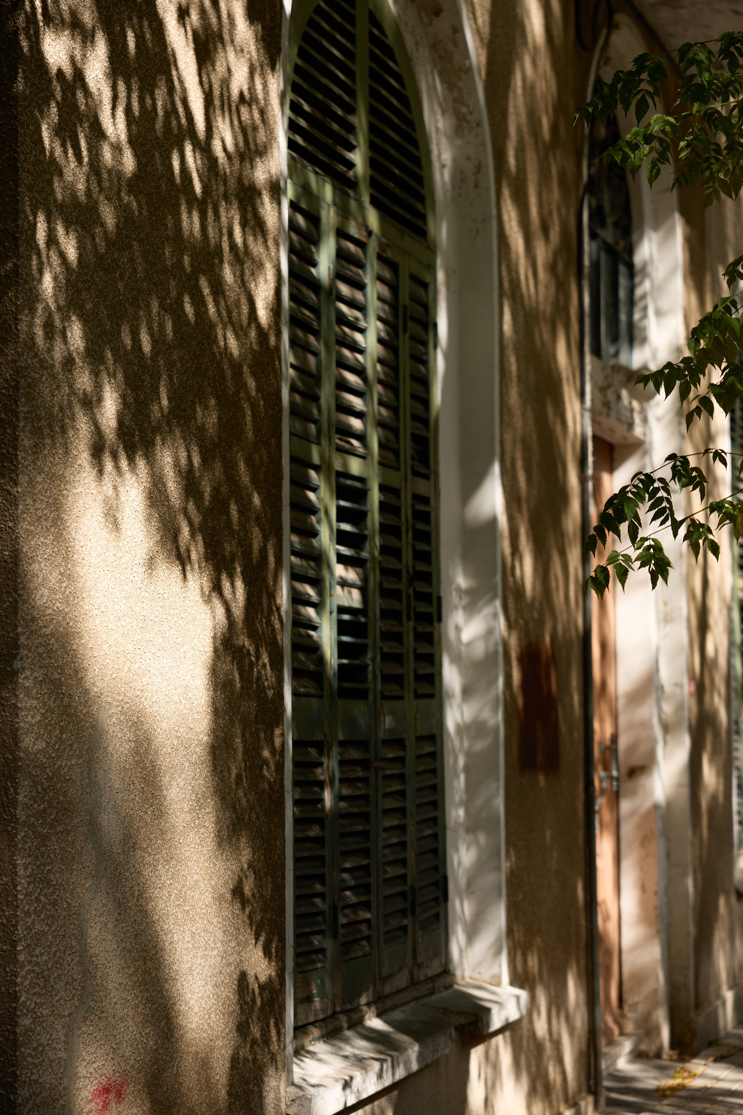 Стамбул 24. Фотограф Москва, Дима Пеллер