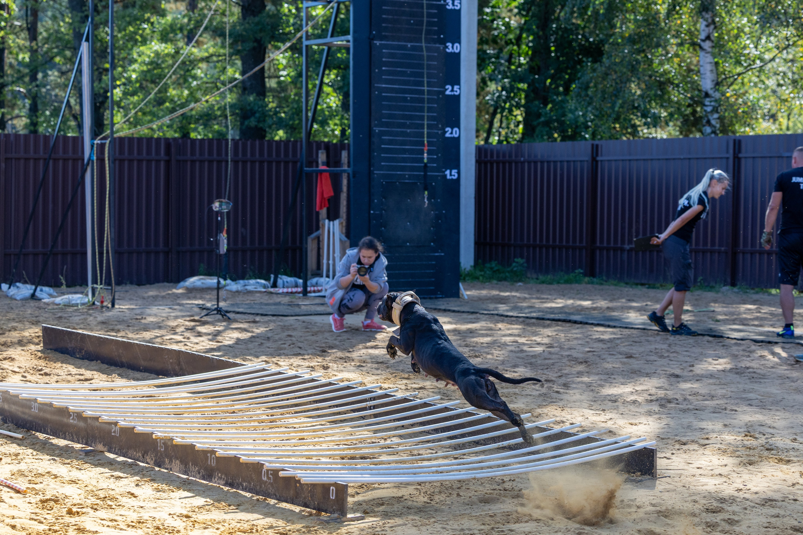 Jump'n'Gym. Виктория Михайловская. Фотограф-анималист. Москва