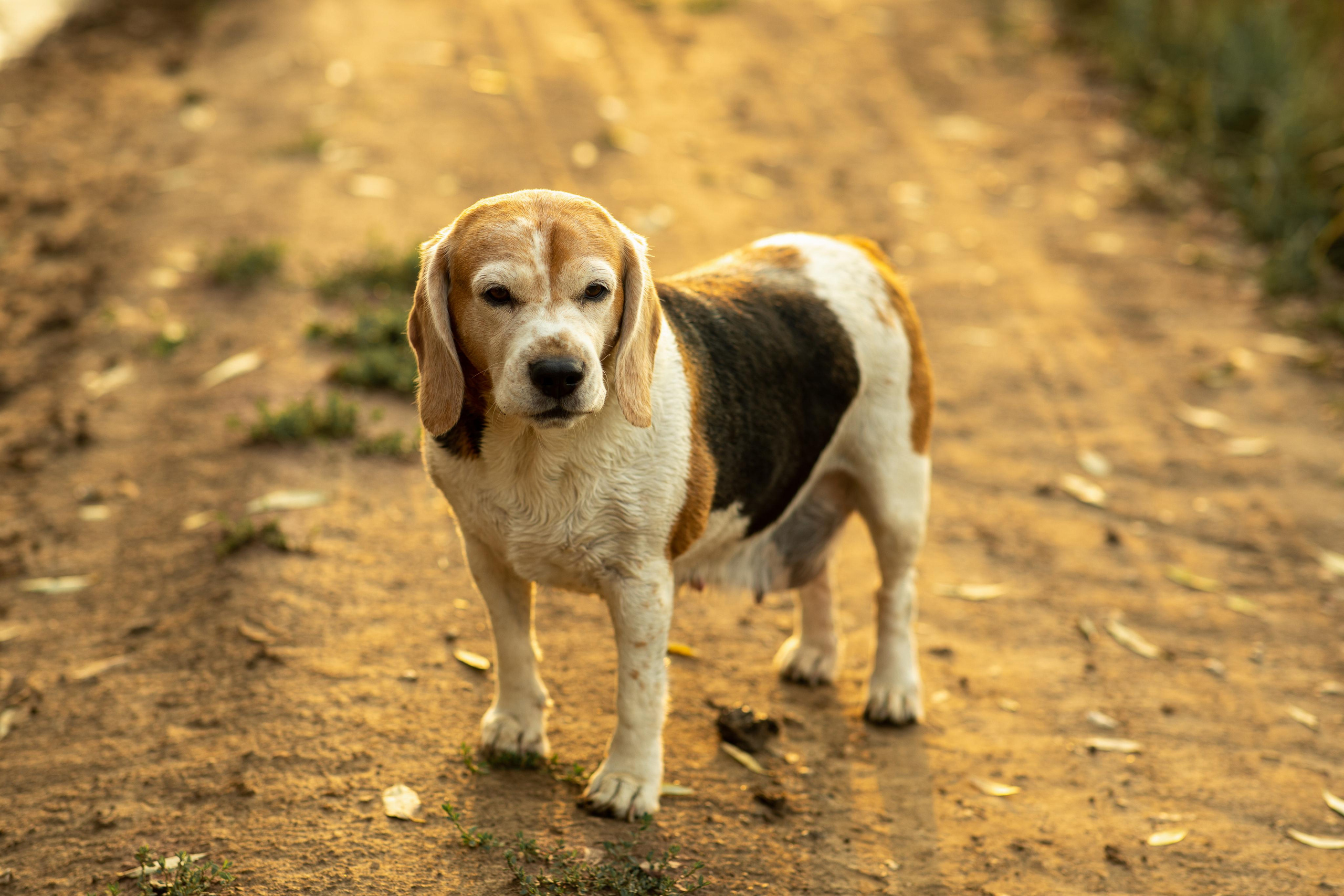 Фотосессия для семьи Сергея и Натальи. Женский семейный фотограф Тула Москва Захарова Анна