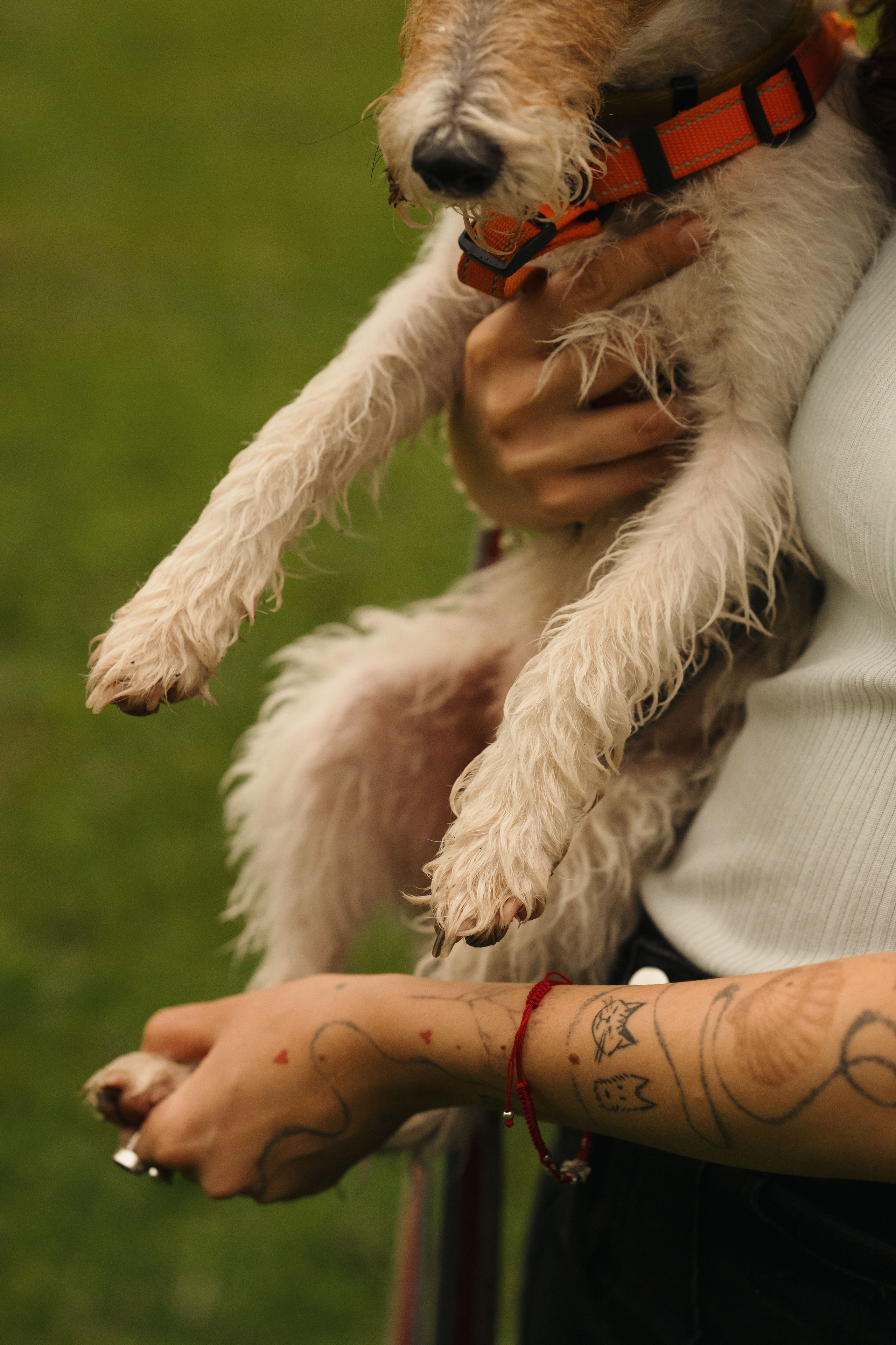 Мартин. Фотограф- анималист Александра Матвеева