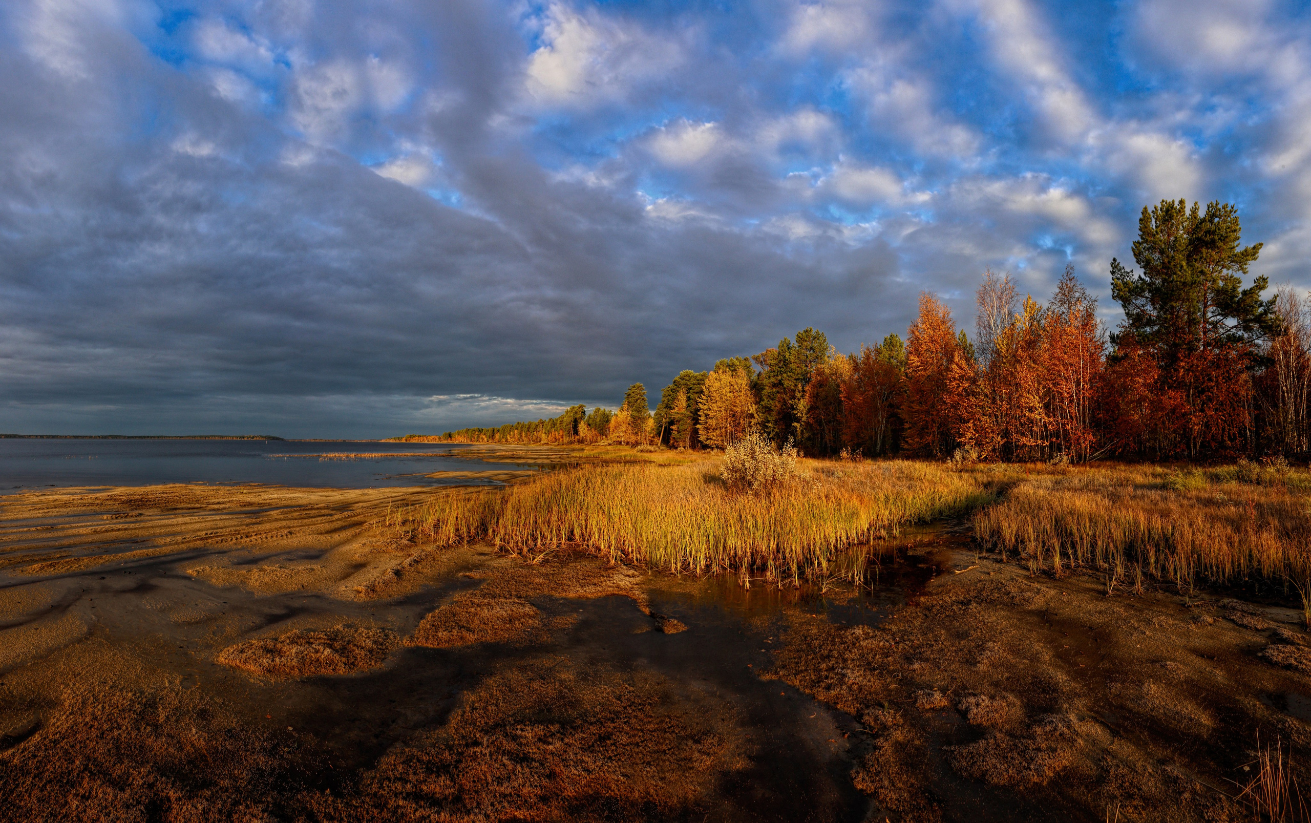 Портфолио. Фотограф Татьяна Борисова