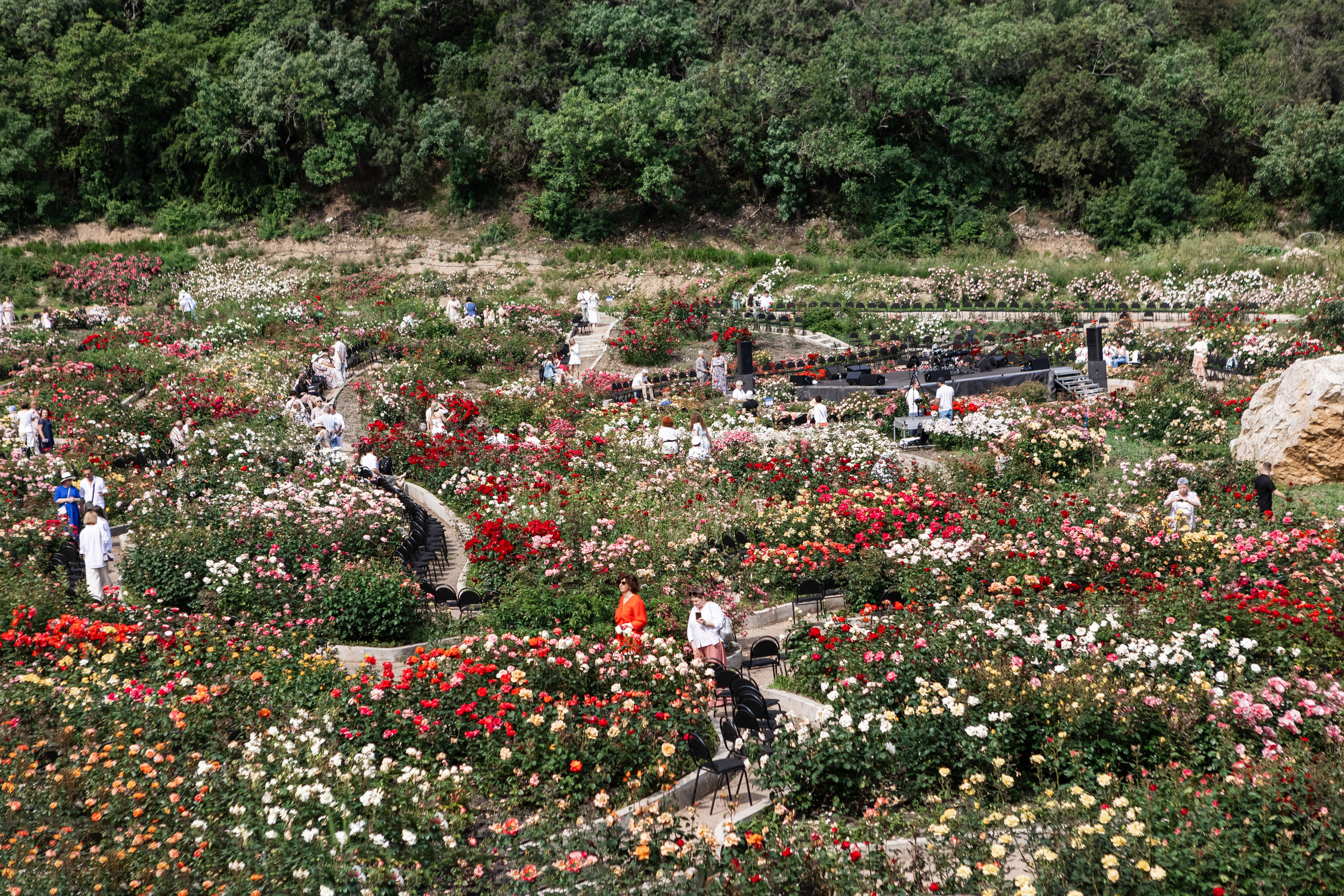 Фестиваль «Природа искусства» 2023. Свадебный фотограф, фотосъемка в Крыму, Севастополе, Симферополе, Ялте