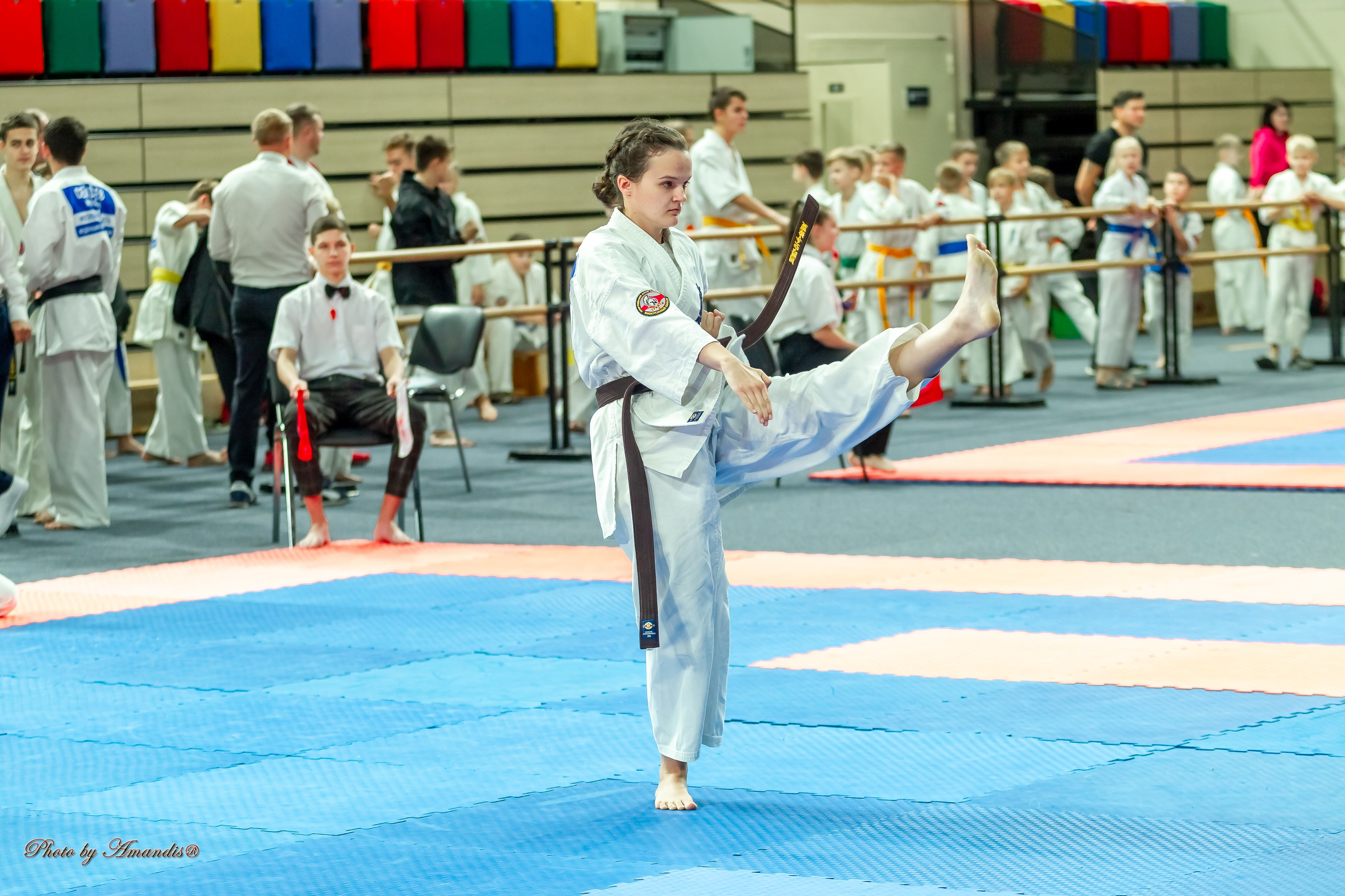 Первенство Московской области по Киокушин в СК «Жаворонки». Репортажная съемка в Москве и области. Анималистика