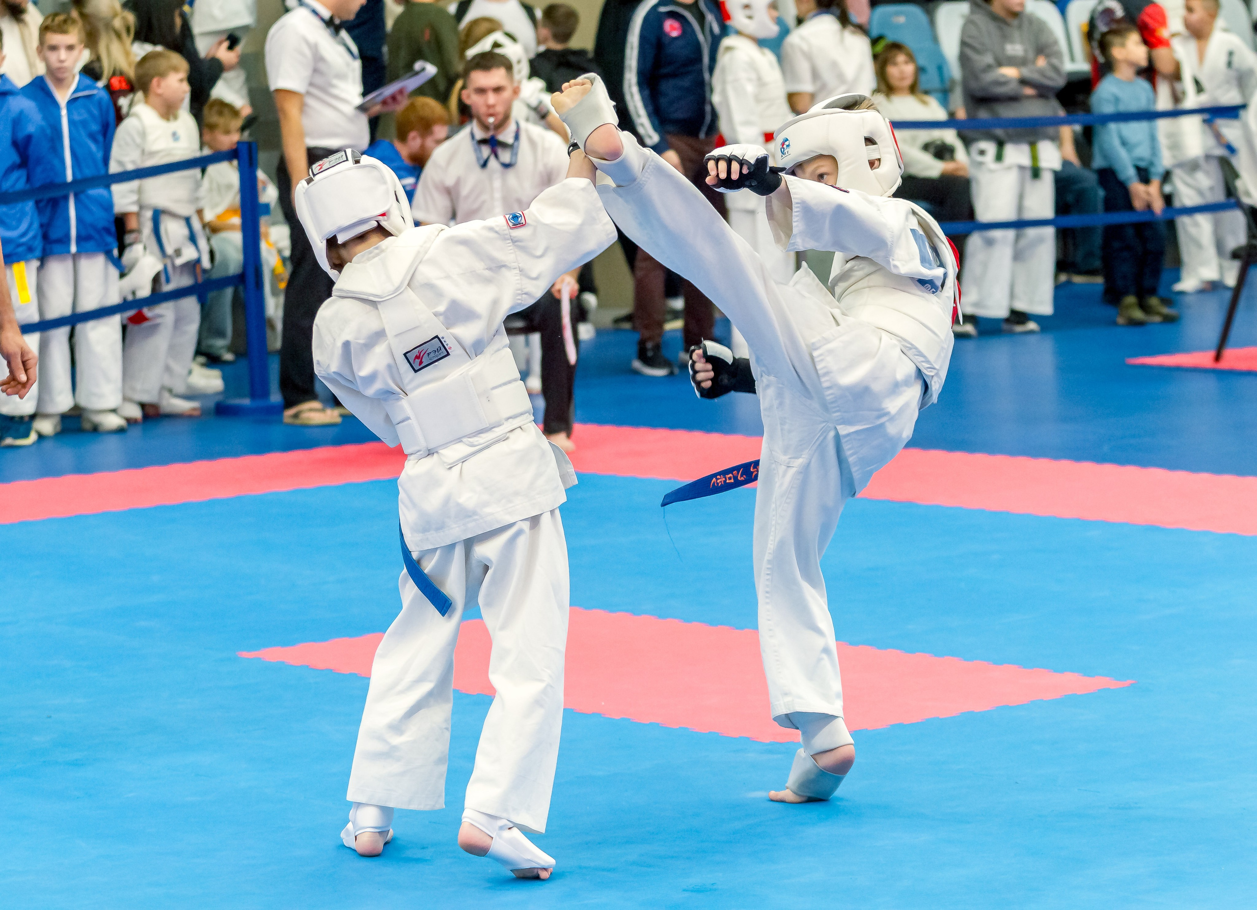 Соревнования по Киокушин памяти С. Увицкого. Репортажная съемка в Москве и области. Анималистика