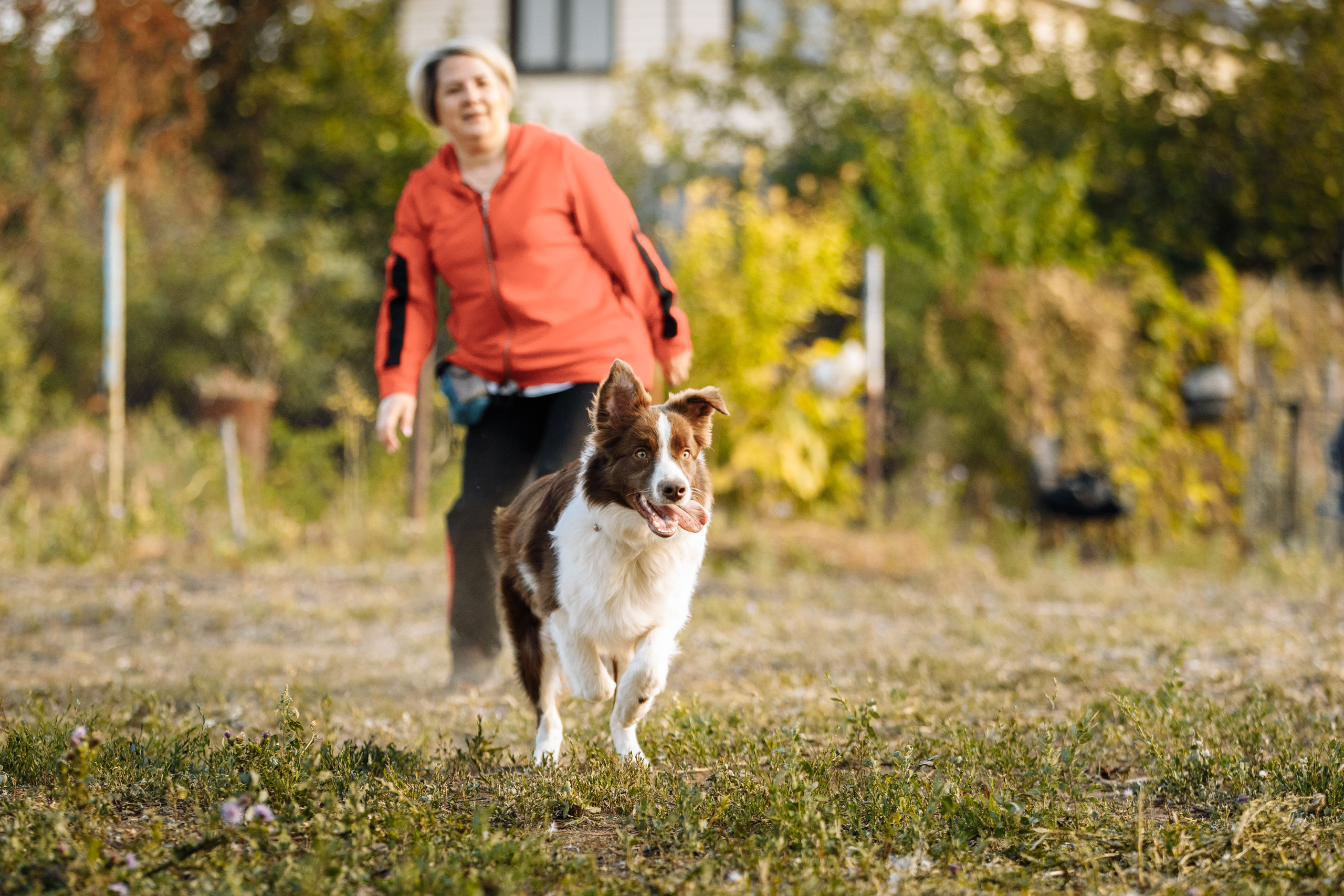Овечий день. О нас