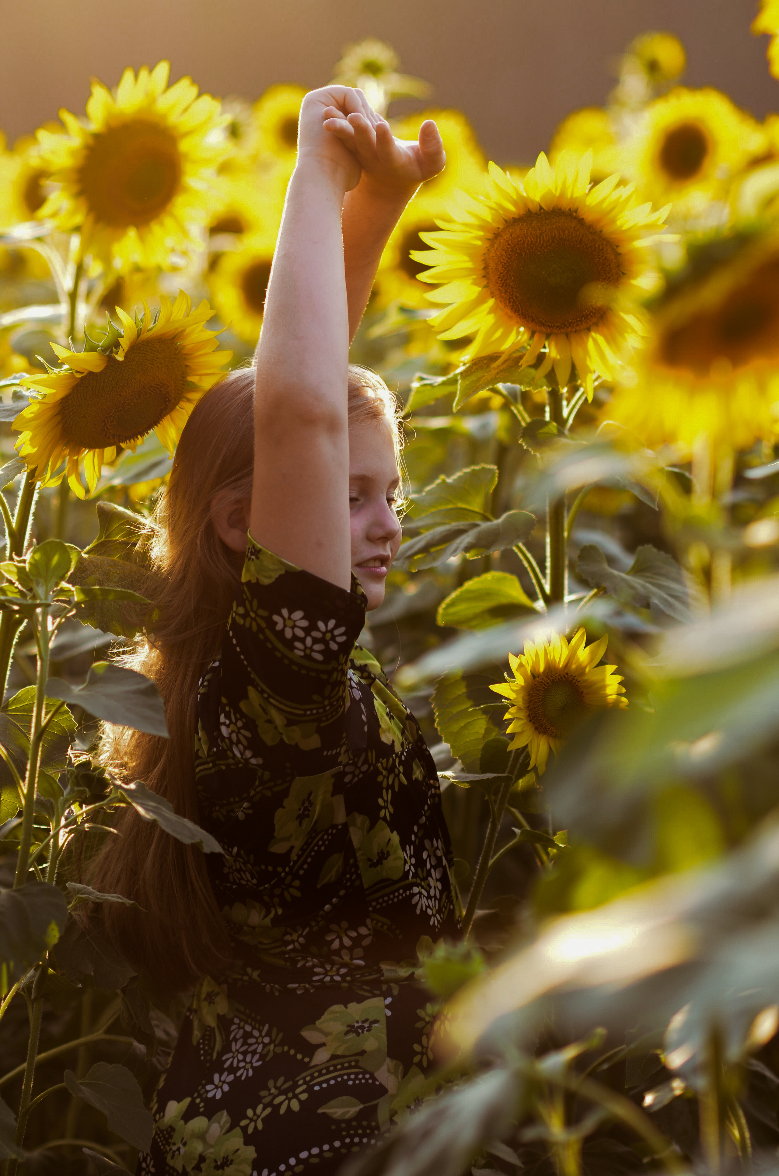 Лето в подсолнухах. Портретный фотограф Алёна Счетчикова