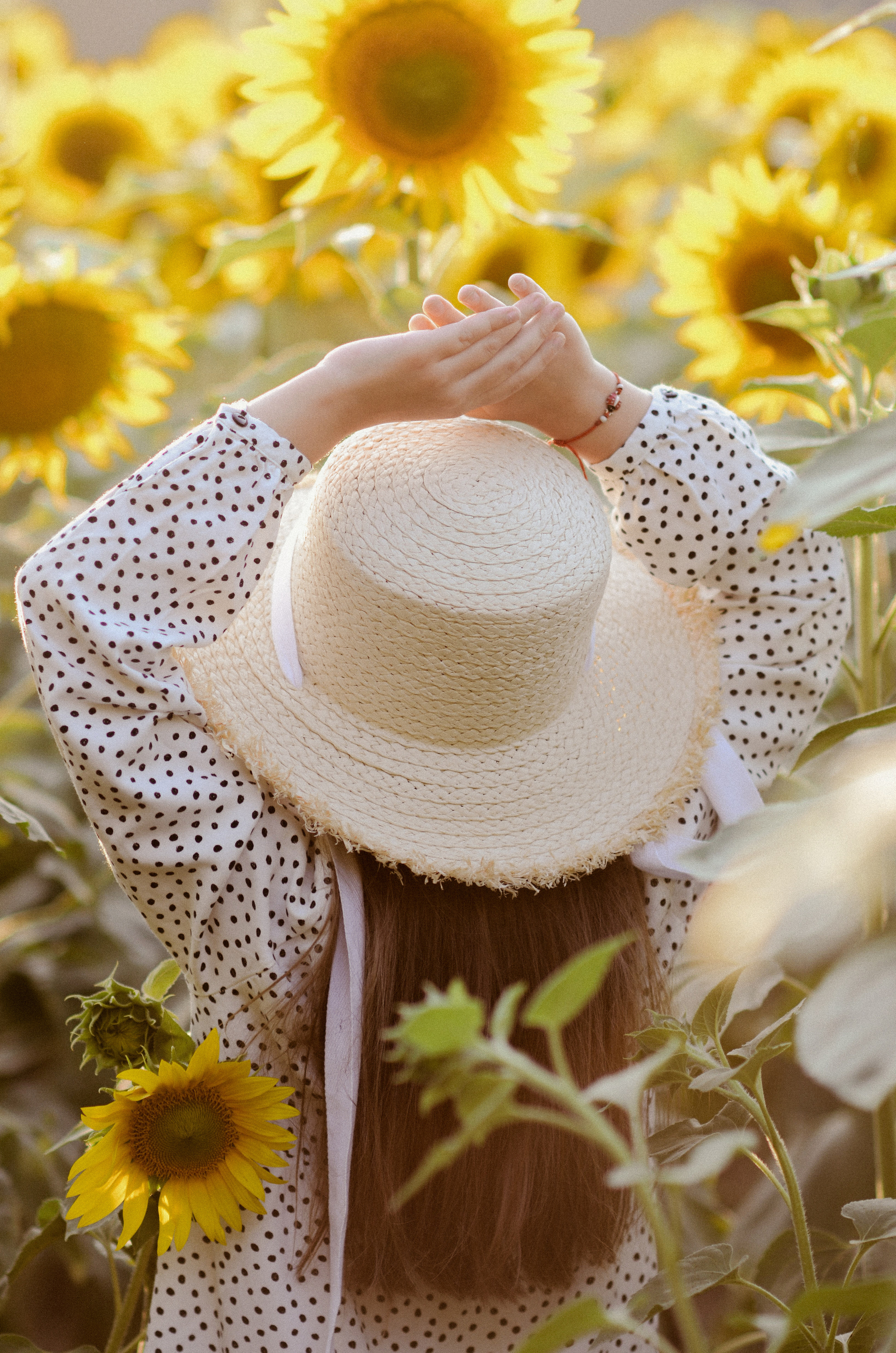 Лето в подсолнухах. Портретный фотограф Алёна Счетчикова