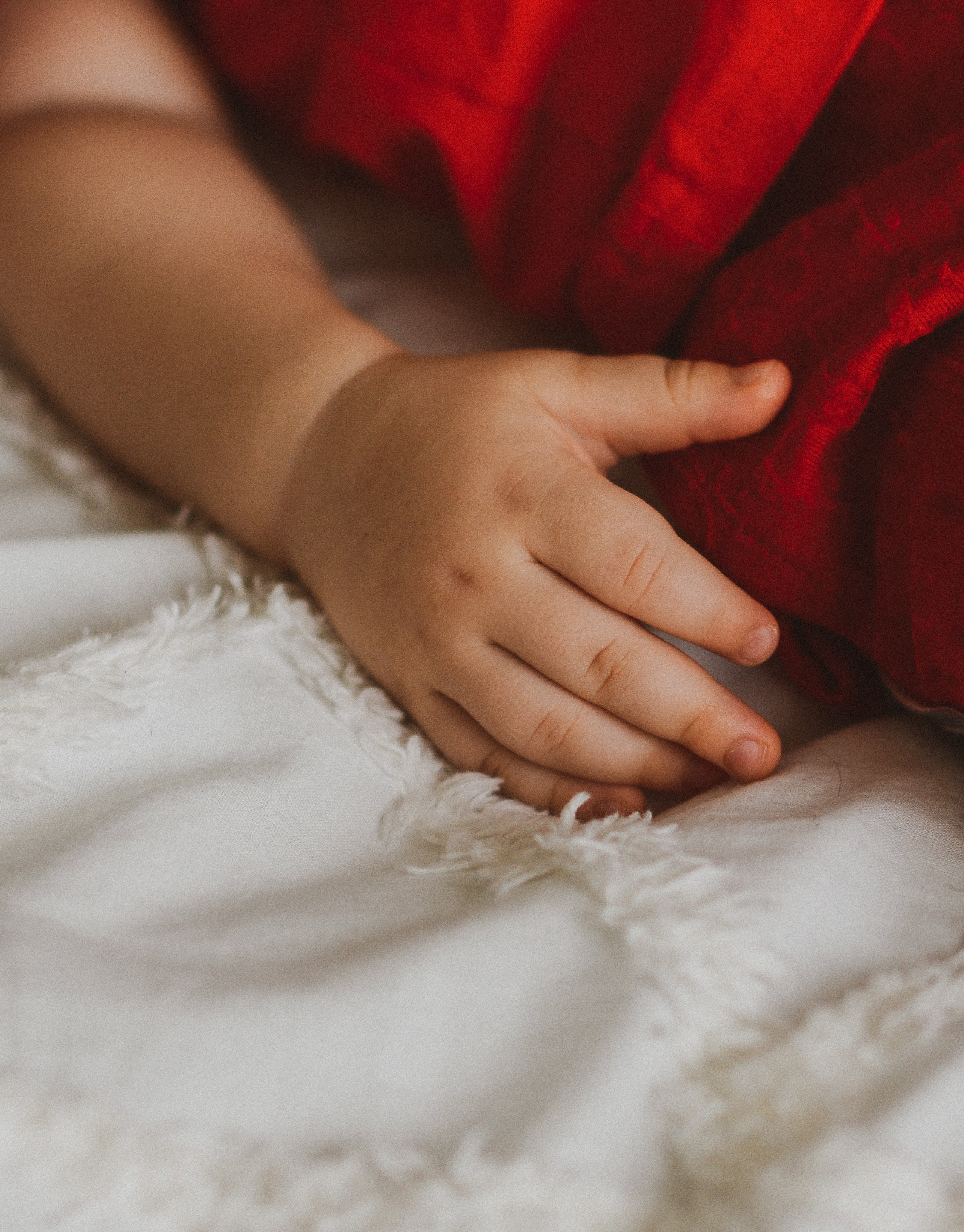 Адам 1 год. Портретный фотограф Алёна Счетчикова