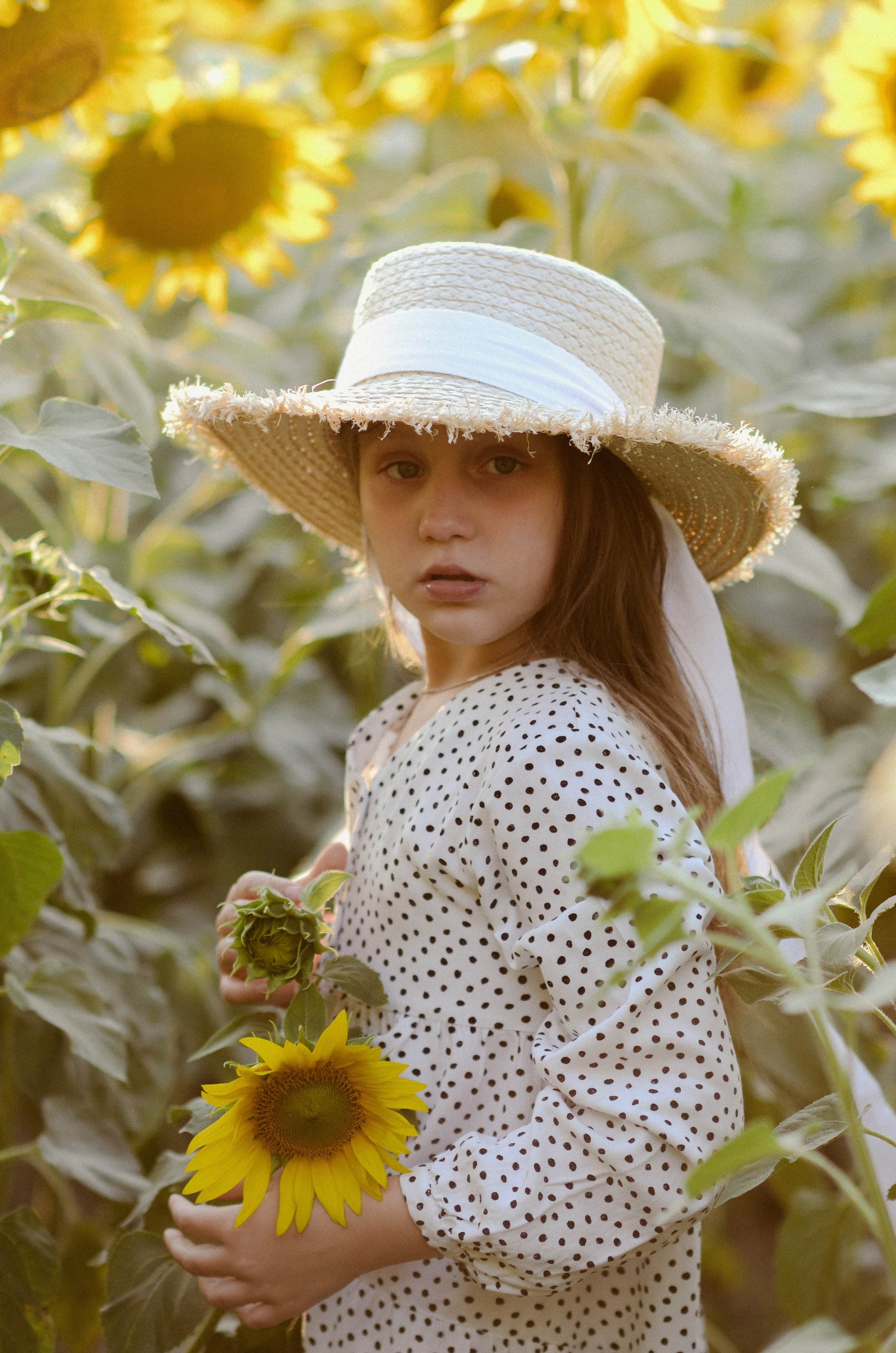 Лето в подсолнухах. Портретный фотограф Алёна Счетчикова