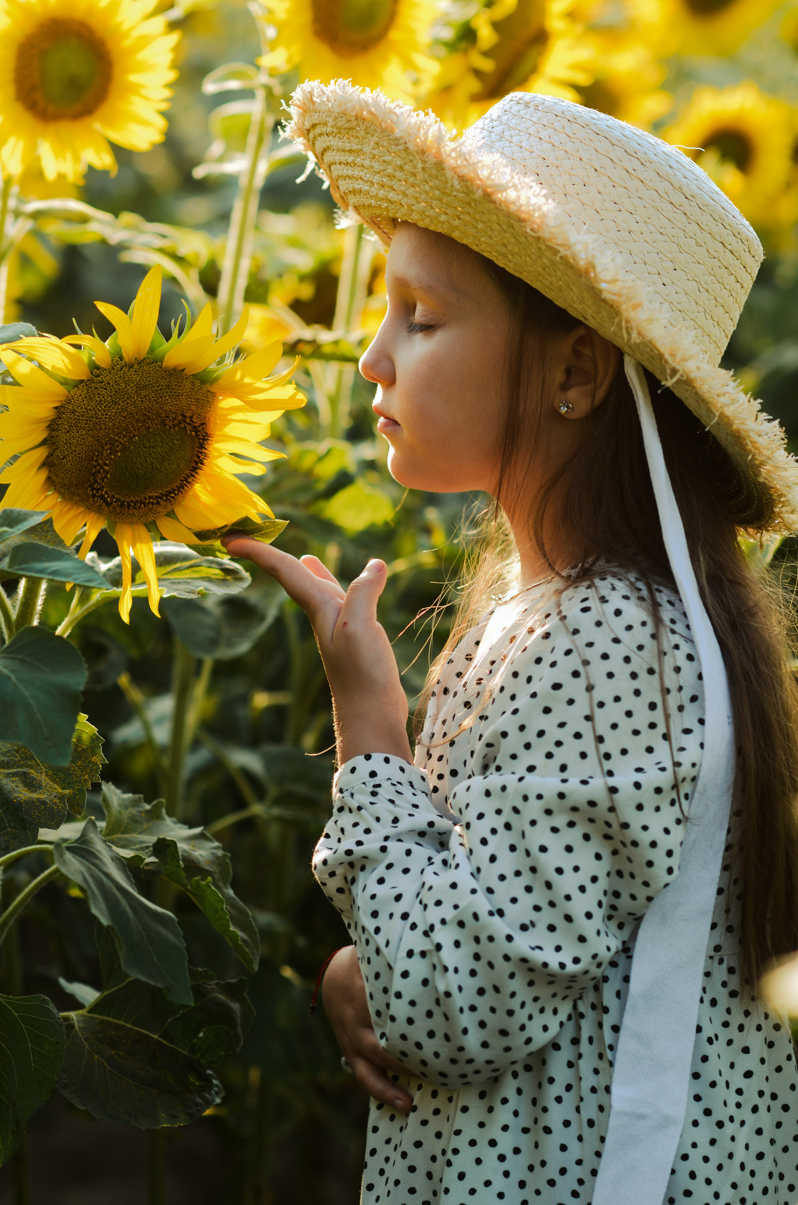 Лето в подсолнухах. Портретный фотограф Алёна Счетчикова