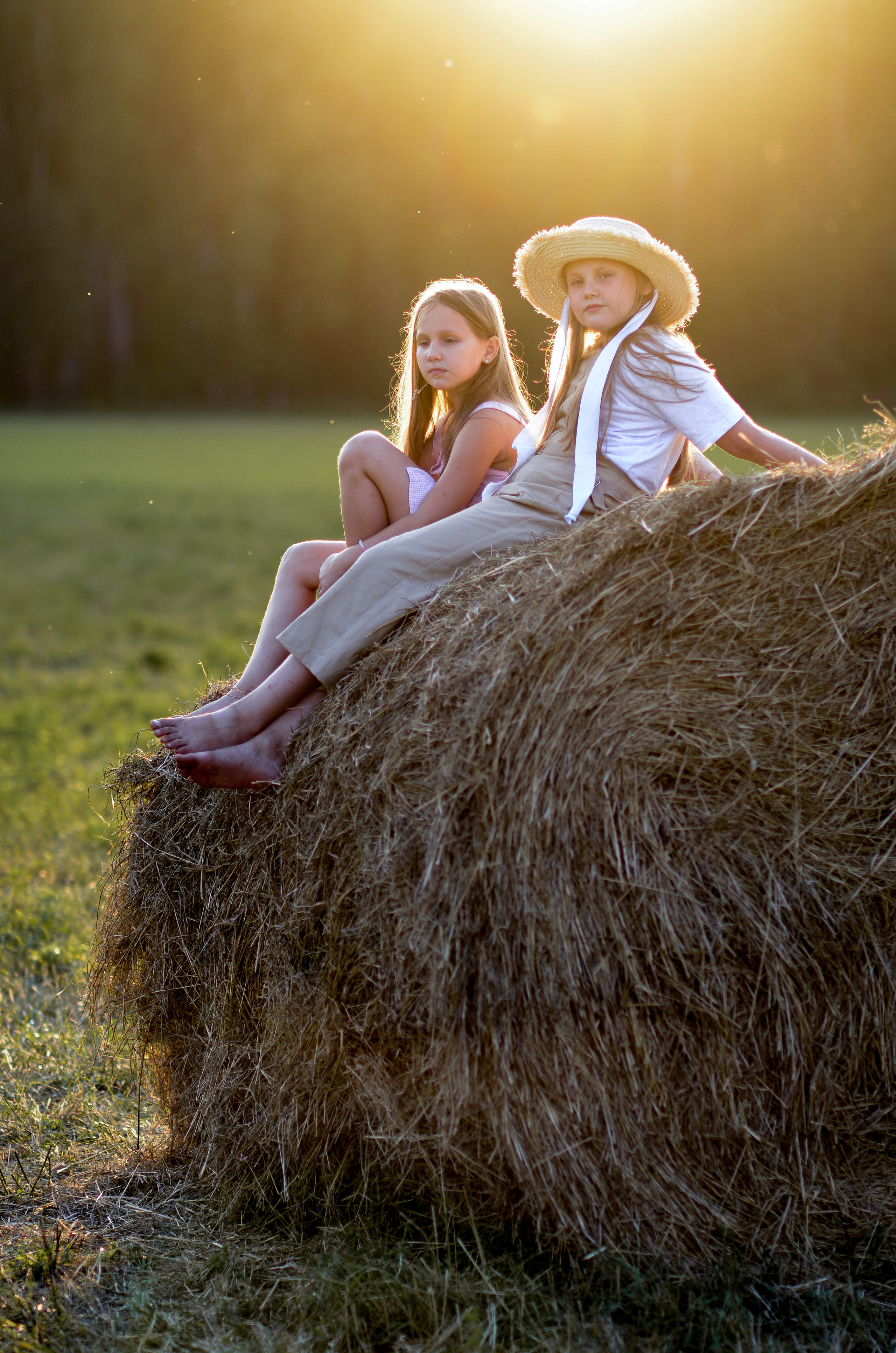 Лето в подсолнухах. Портретный фотограф Алёна Счетчикова