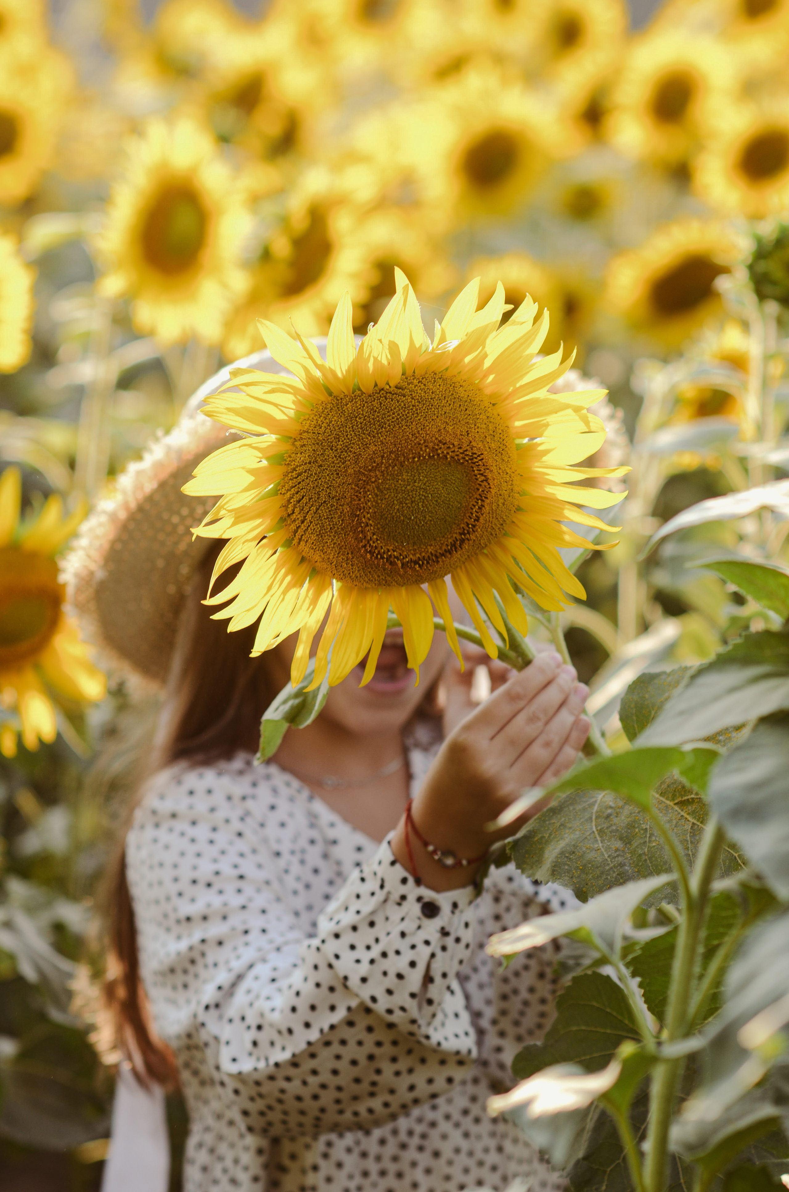 Лето в подсолнухах. Портретный фотограф Алёна Счетчикова
