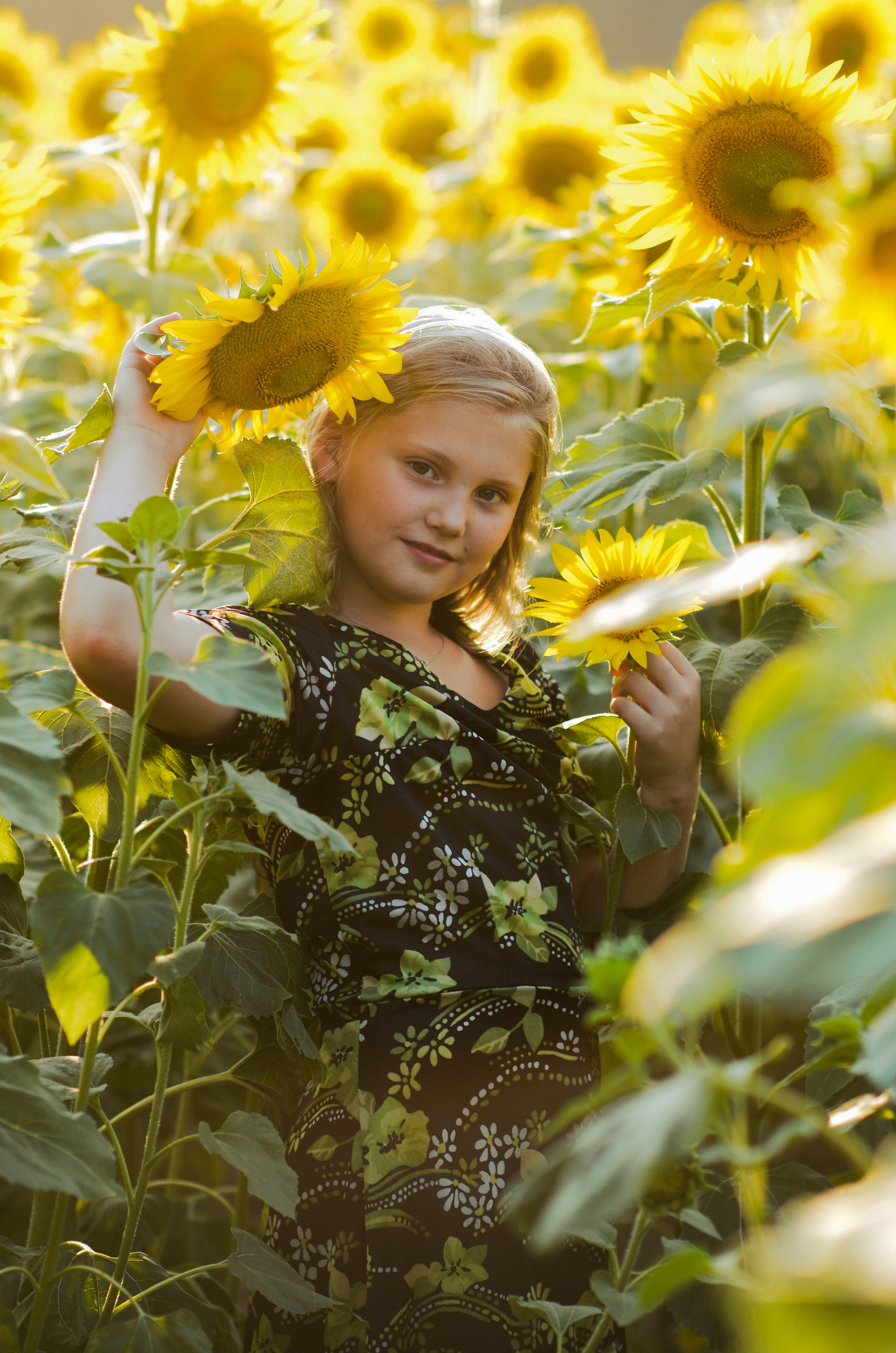 Лето в подсолнухах. Портретный фотограф Алёна Счетчикова