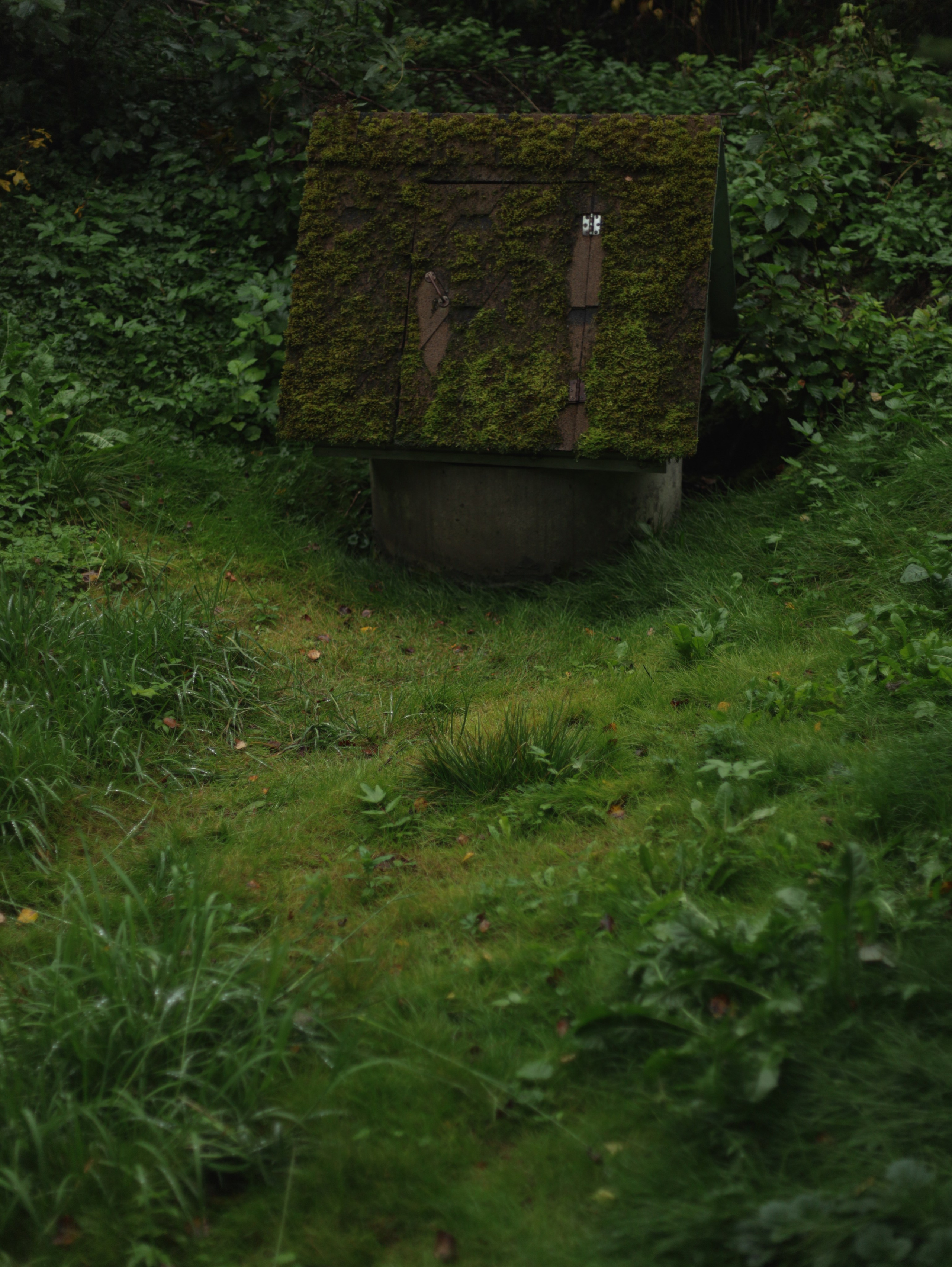 Природа &. Фотохудожник в СПб