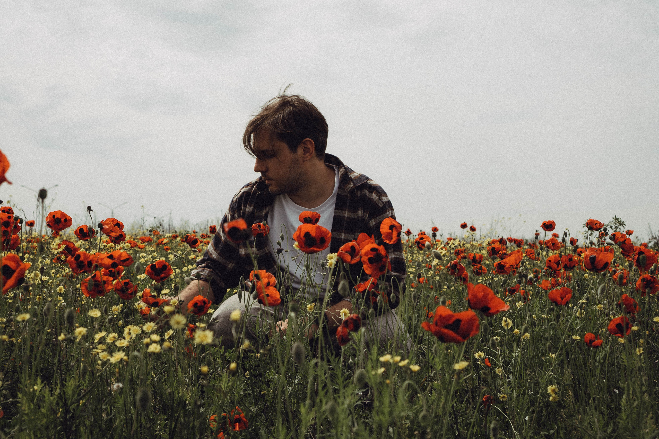 Маки. Профессиональный фотограф, Санкт-Петербург — Виктория Богомолова