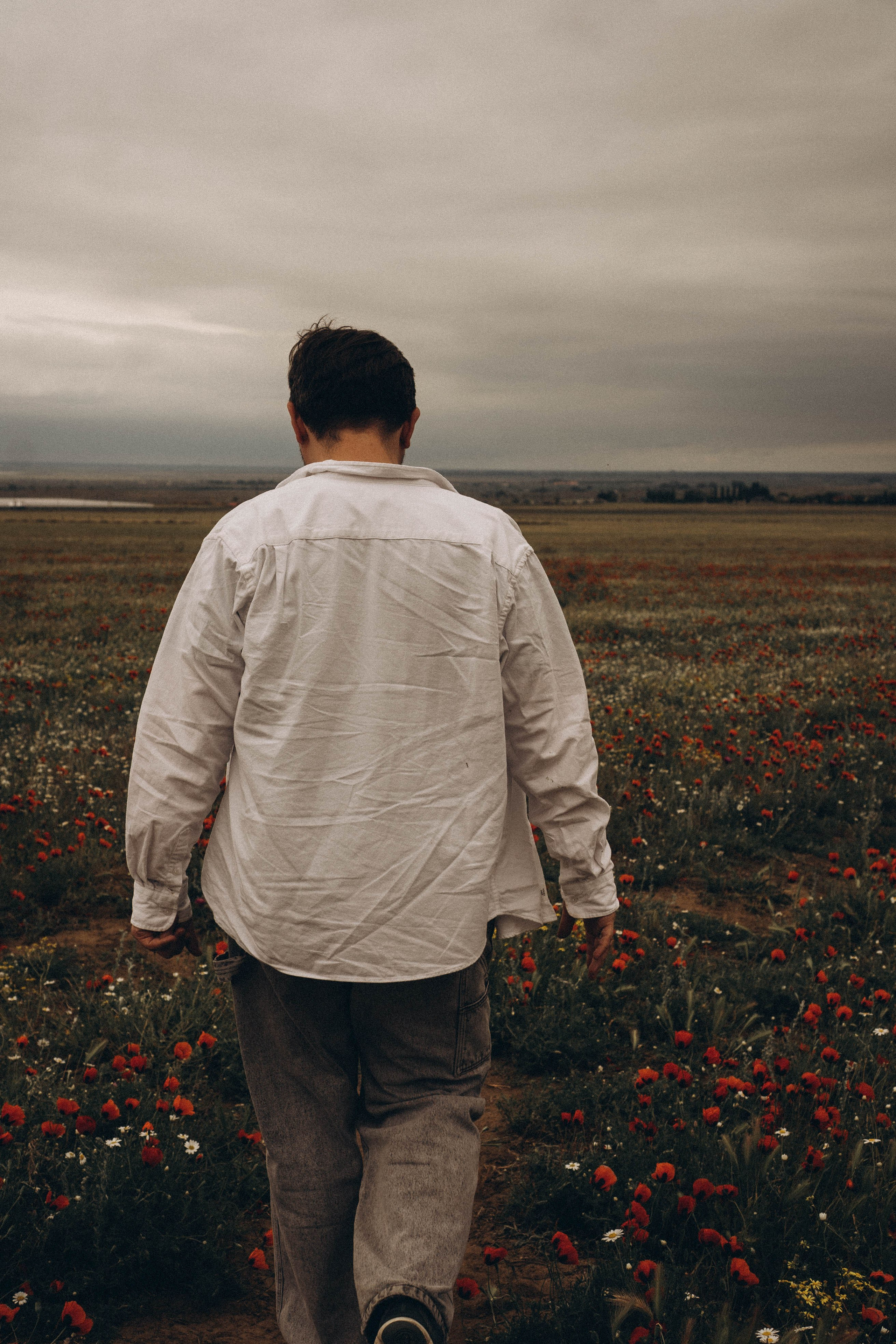 Маки. Профессиональный фотограф, Санкт-Петербург — Виктория Богомолова