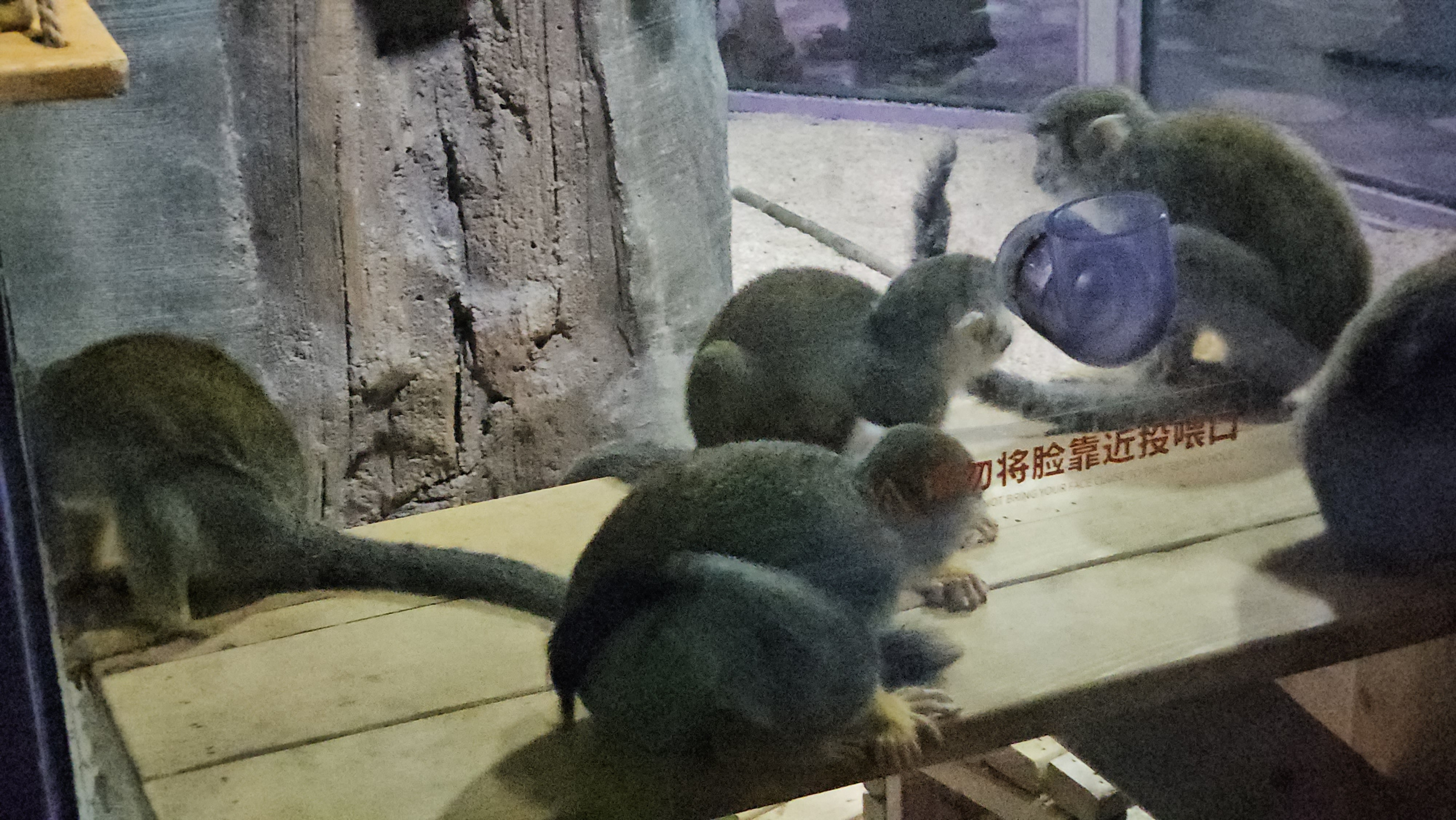 Китай. Июль 2025