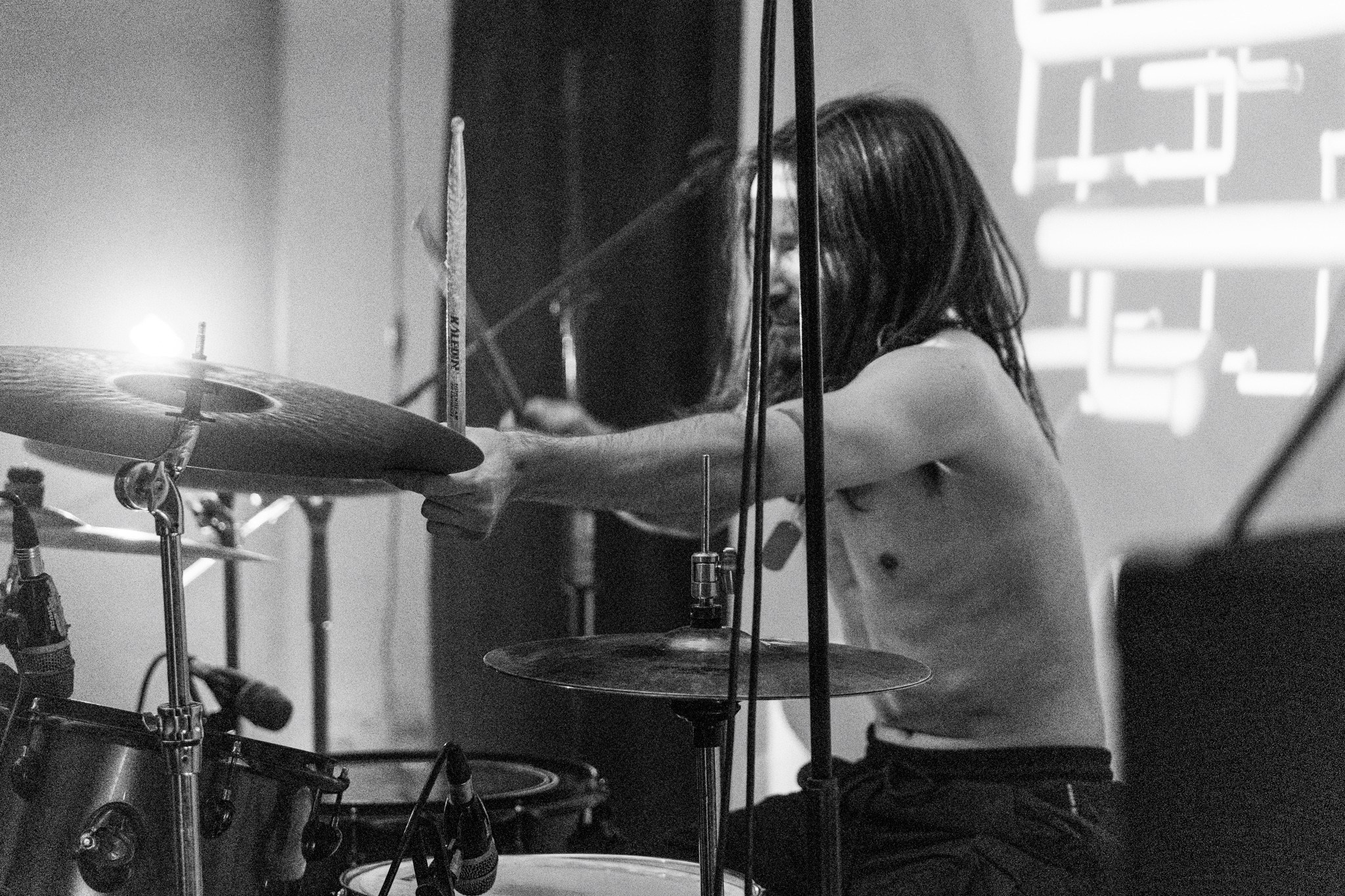 Змееед, Apodemus, 20.12.25, TAGO)))MAGO)))