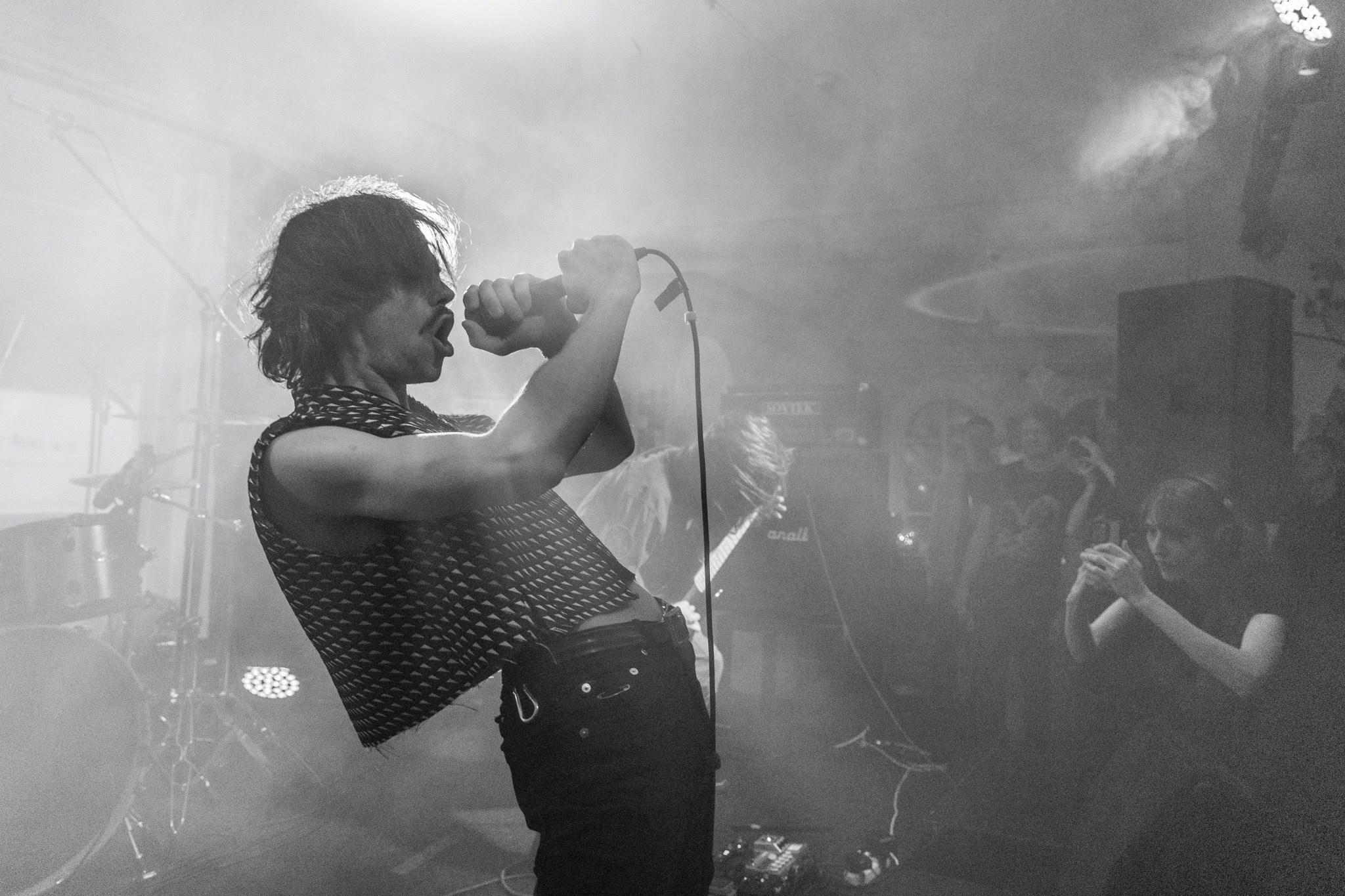 Змееед, Apodemus, 20.12.25, TAGO)))MAGO)))