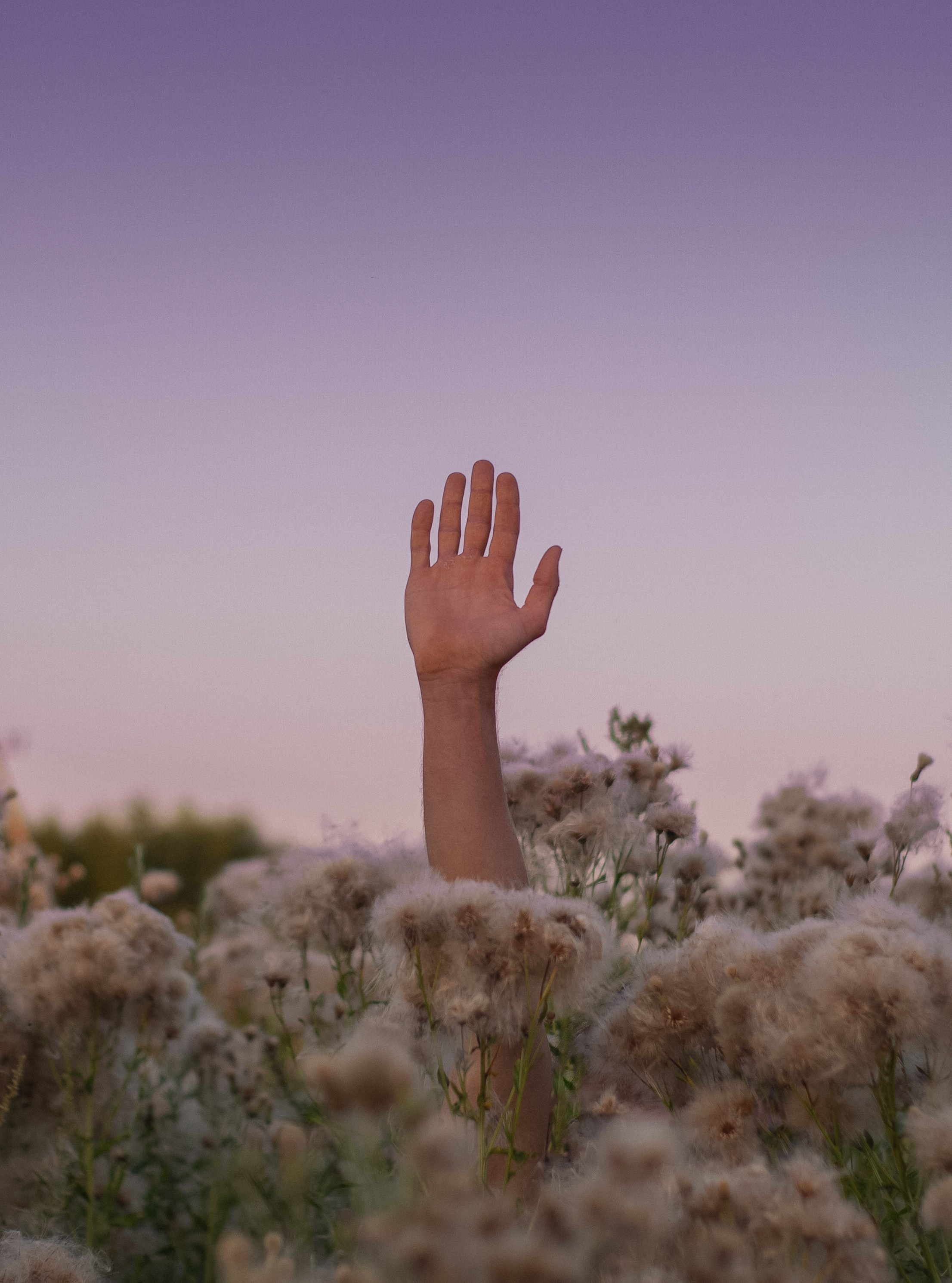 Фотопрогулки. Фотограф Демид Никитин. г. Дубна, Москва