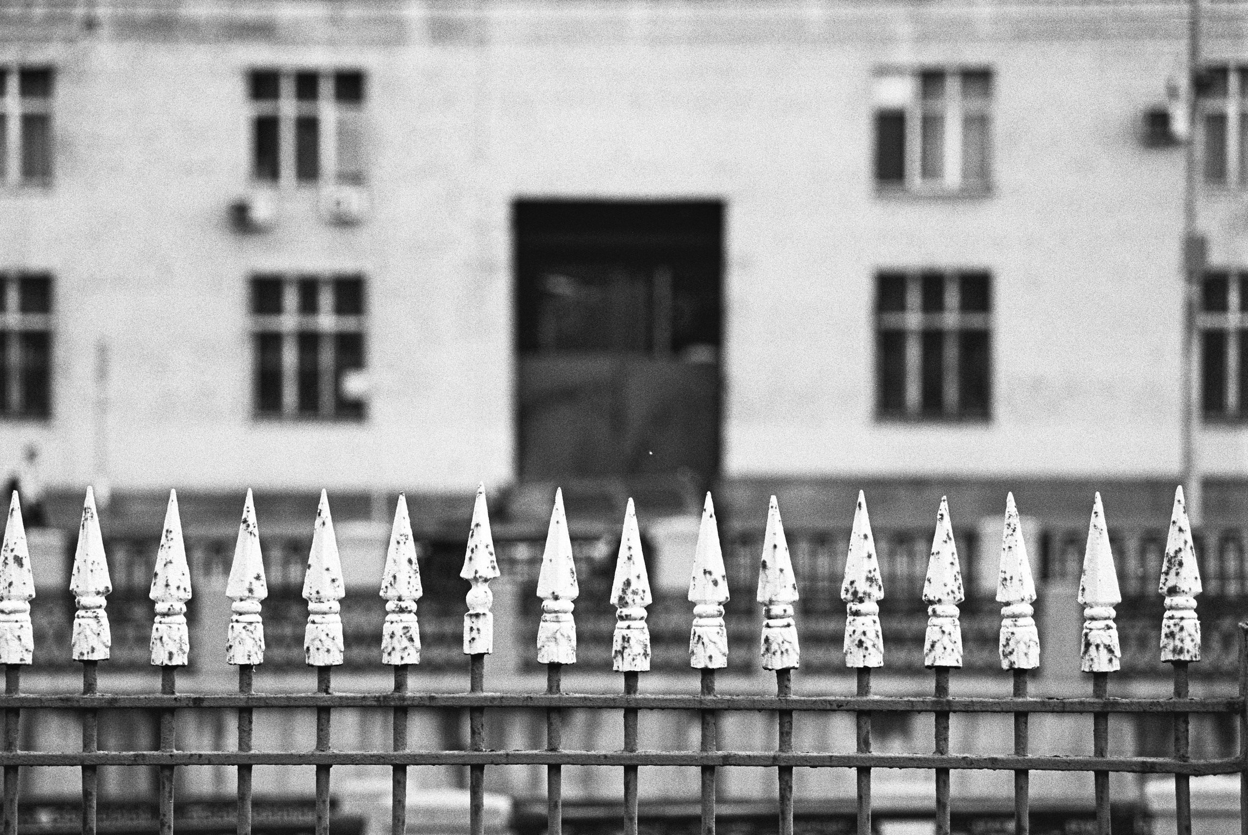 Фотосессии на пленочный фотоаппарат Nikon F6