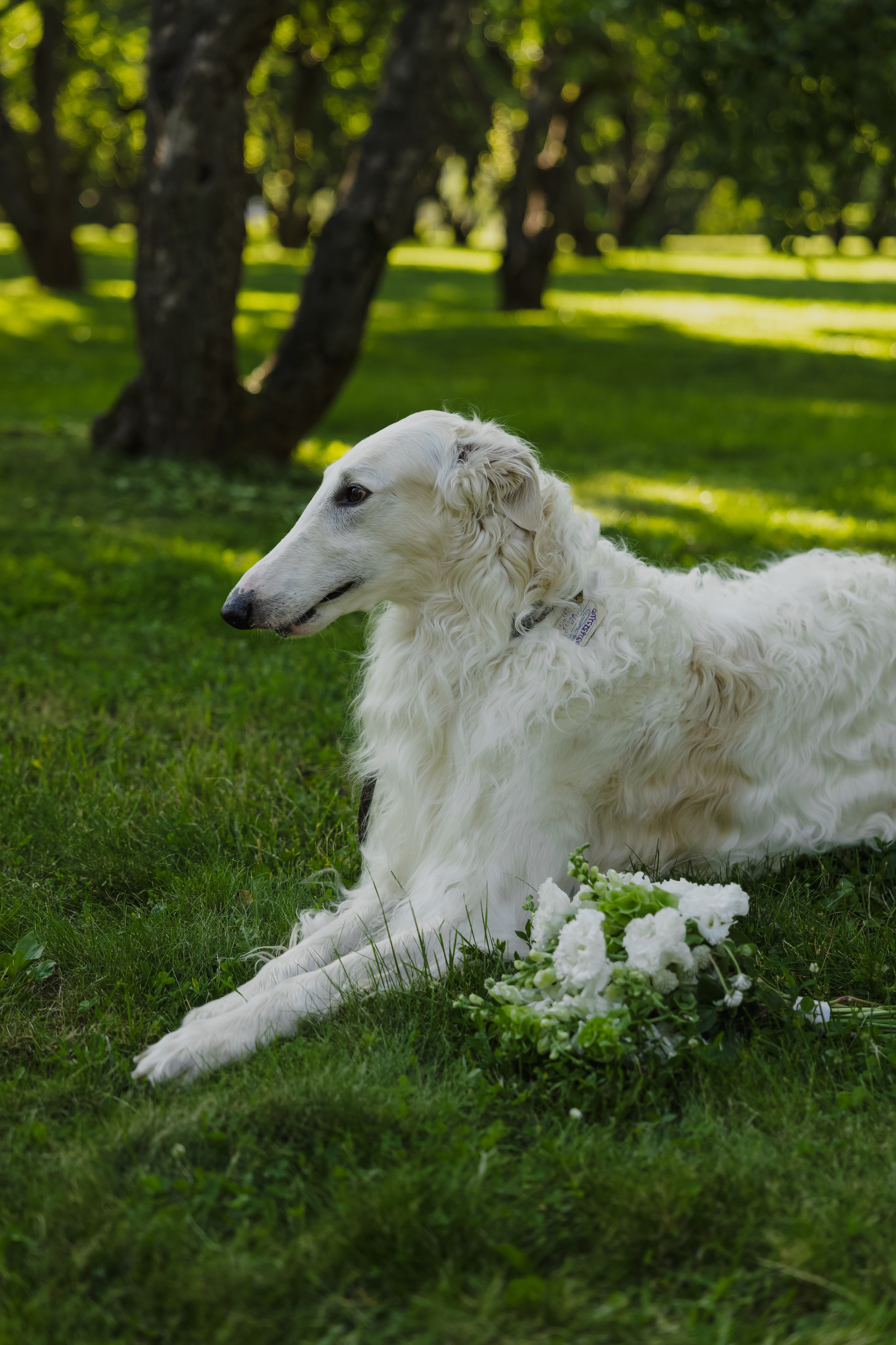 Одним летним вечером