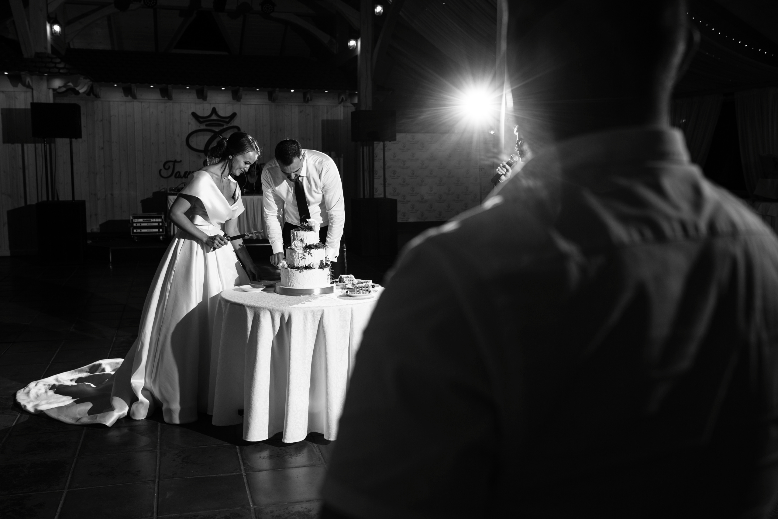 Юлиус и Евгения. Wedding photographer Kiryanov Maxim. I take photos in Moscow, Kolomna,