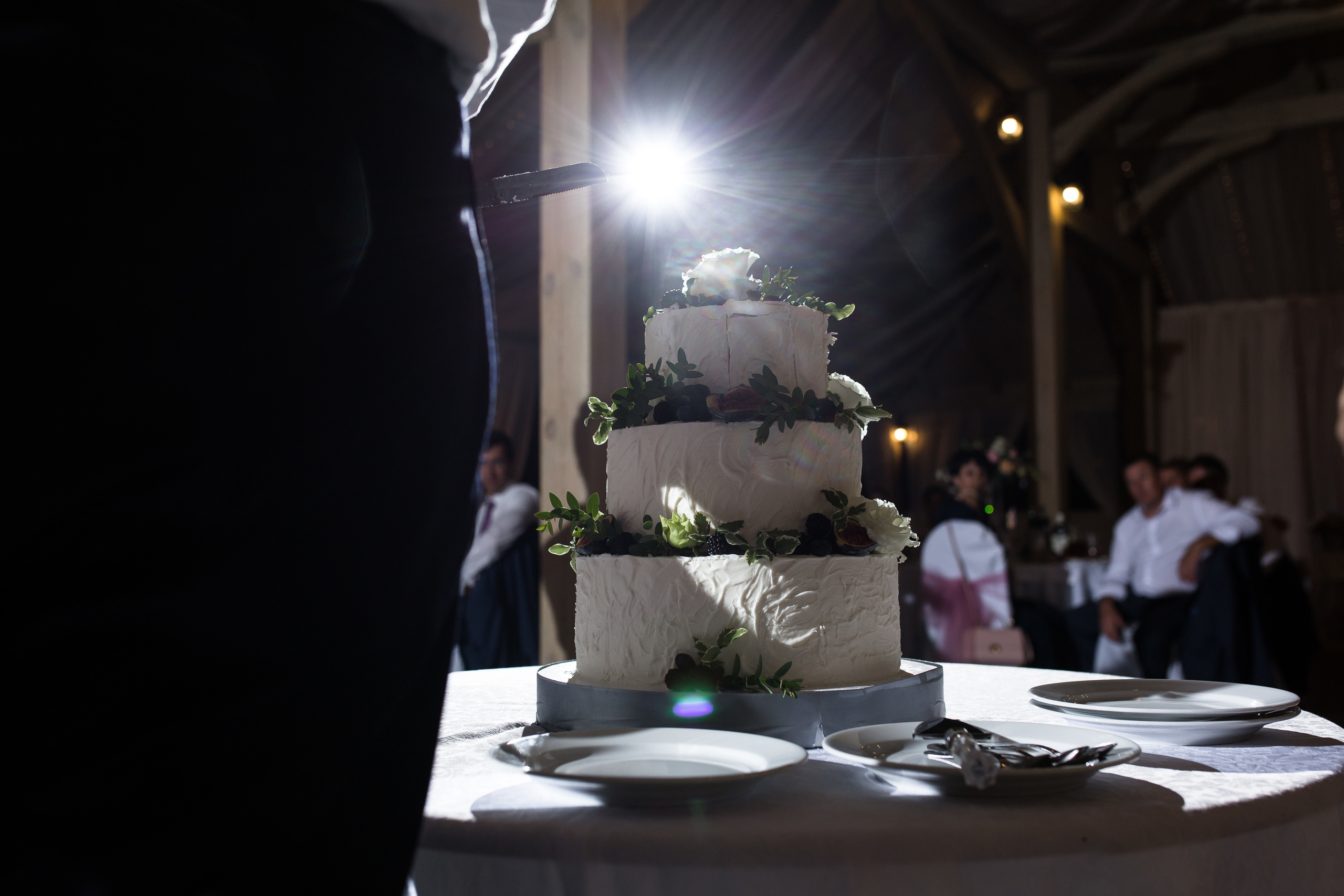 Юлиус и Евгения. Wedding photographer Kiryanov Maxim. I take photos in Moscow, Kolomna,