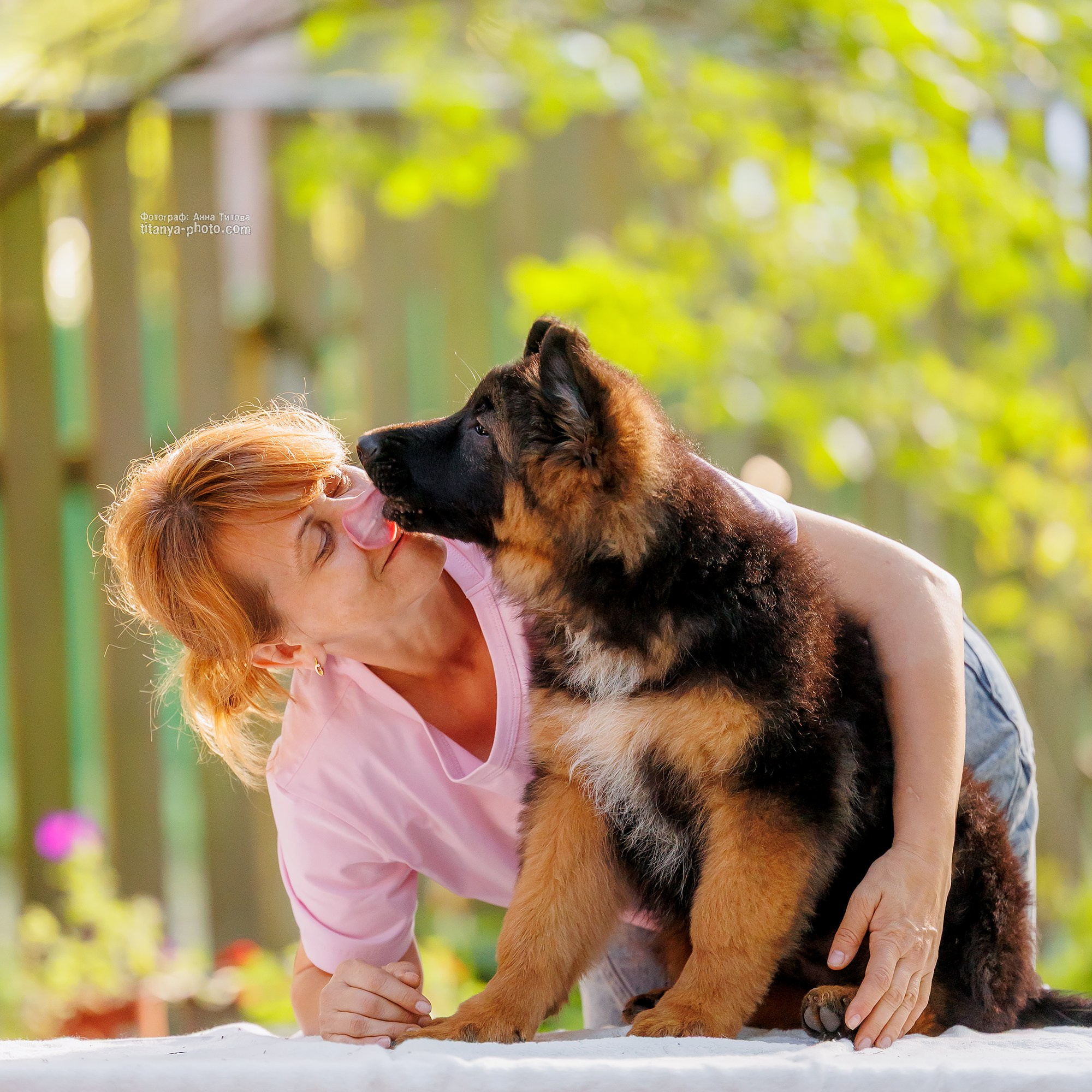 Щенки немецкой овчарки. Фотограф собак, фотограф-анималист Аня Титова (Titanya). Москва