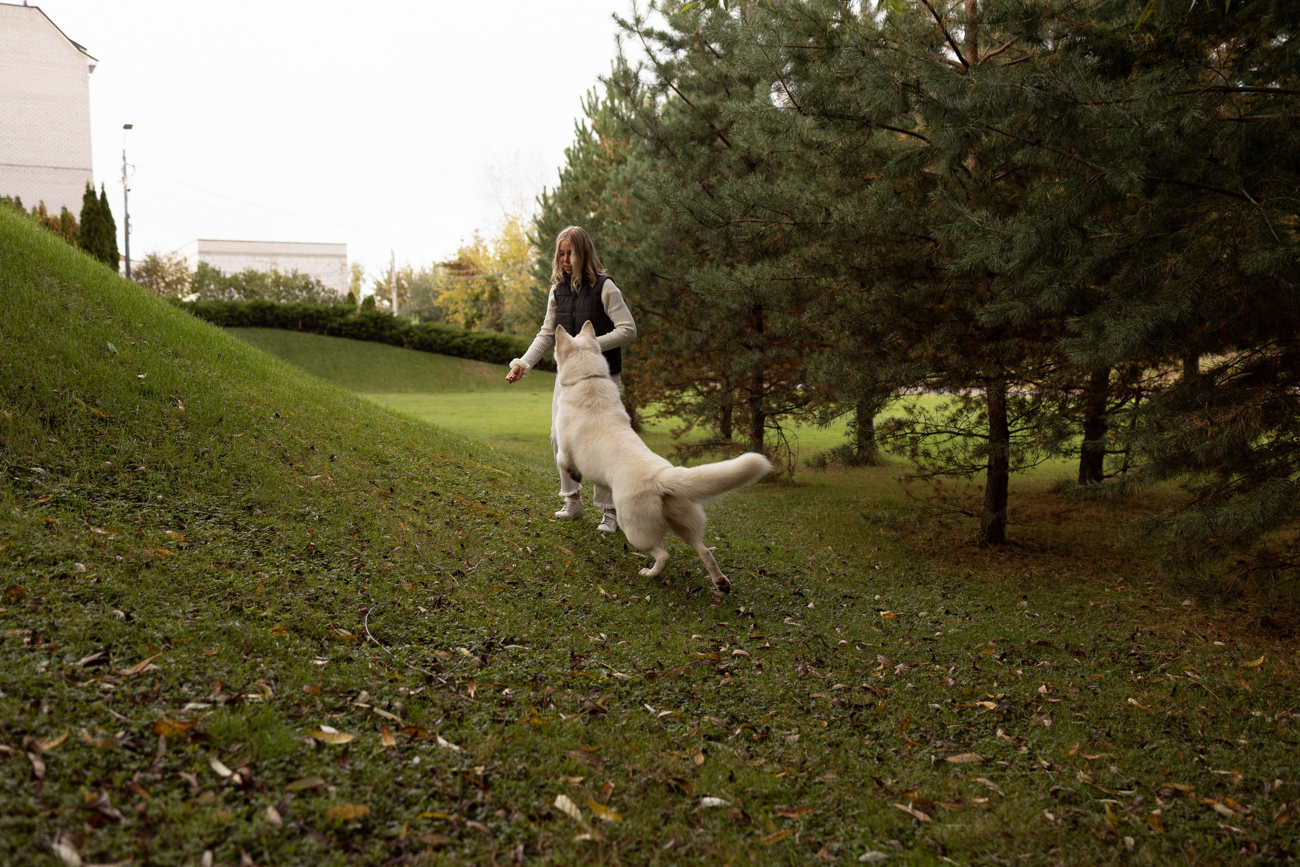 Алина и Райден. Фотограф — Анималист Наталья Тямушева