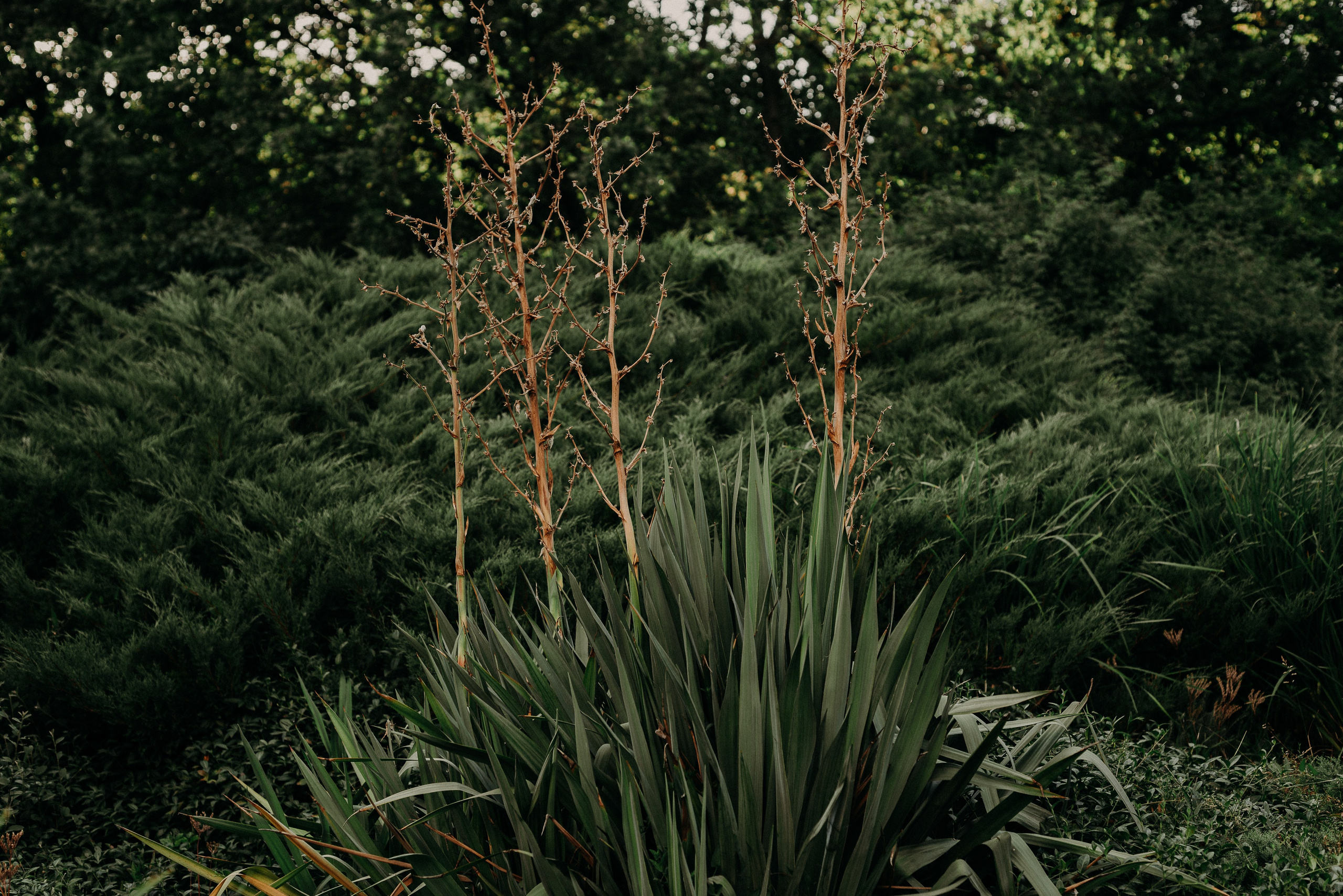 Ростов-на-Дону: через объектив фотографа из Гуанчжоу. Коммерческий и предметный фотограф в Гуанчжоу Коваленко Александр