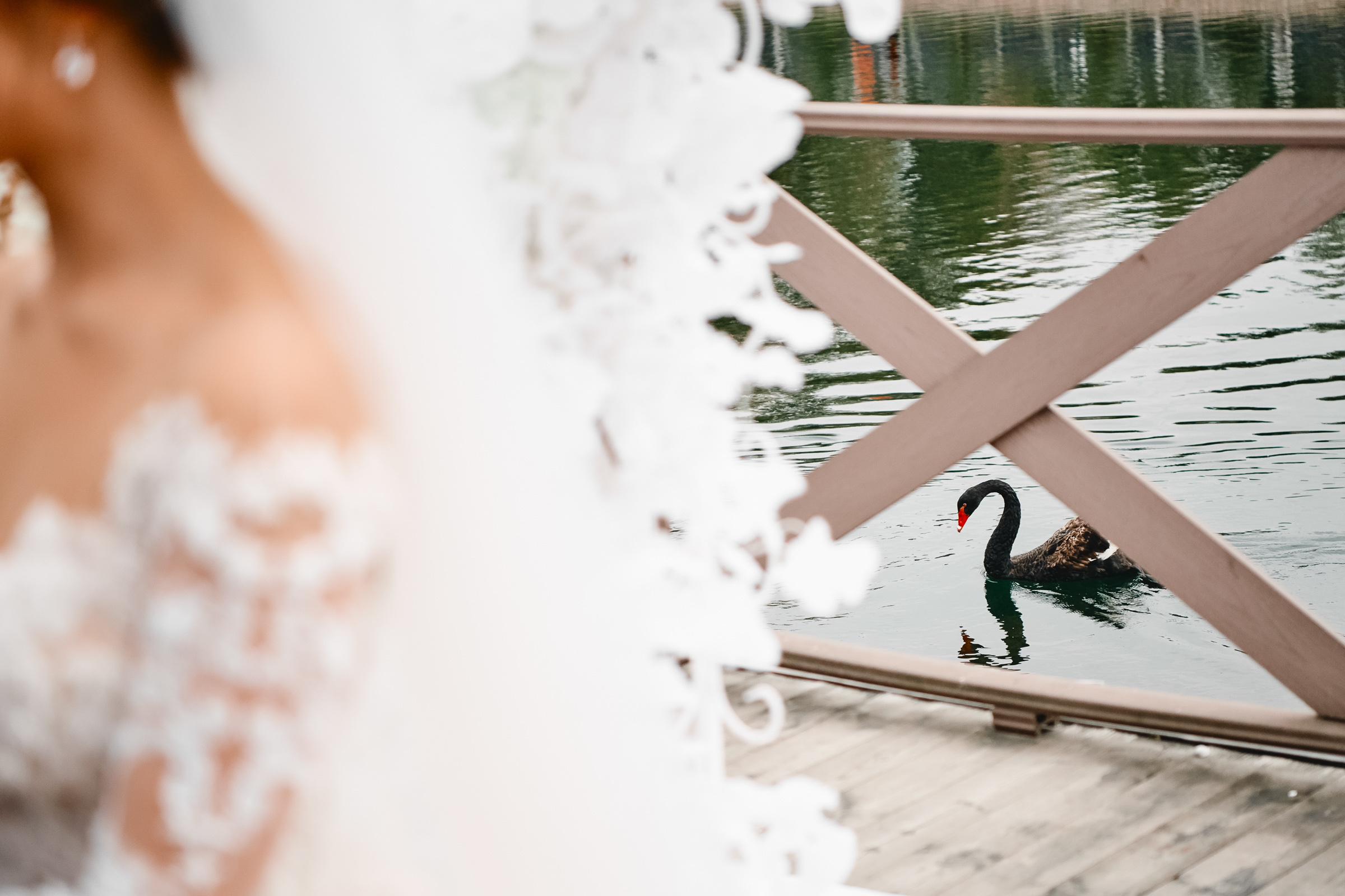 НИКОЛАЙ И КСЕНИЯ. Свадебный и семейный фотограф Никита Корохов