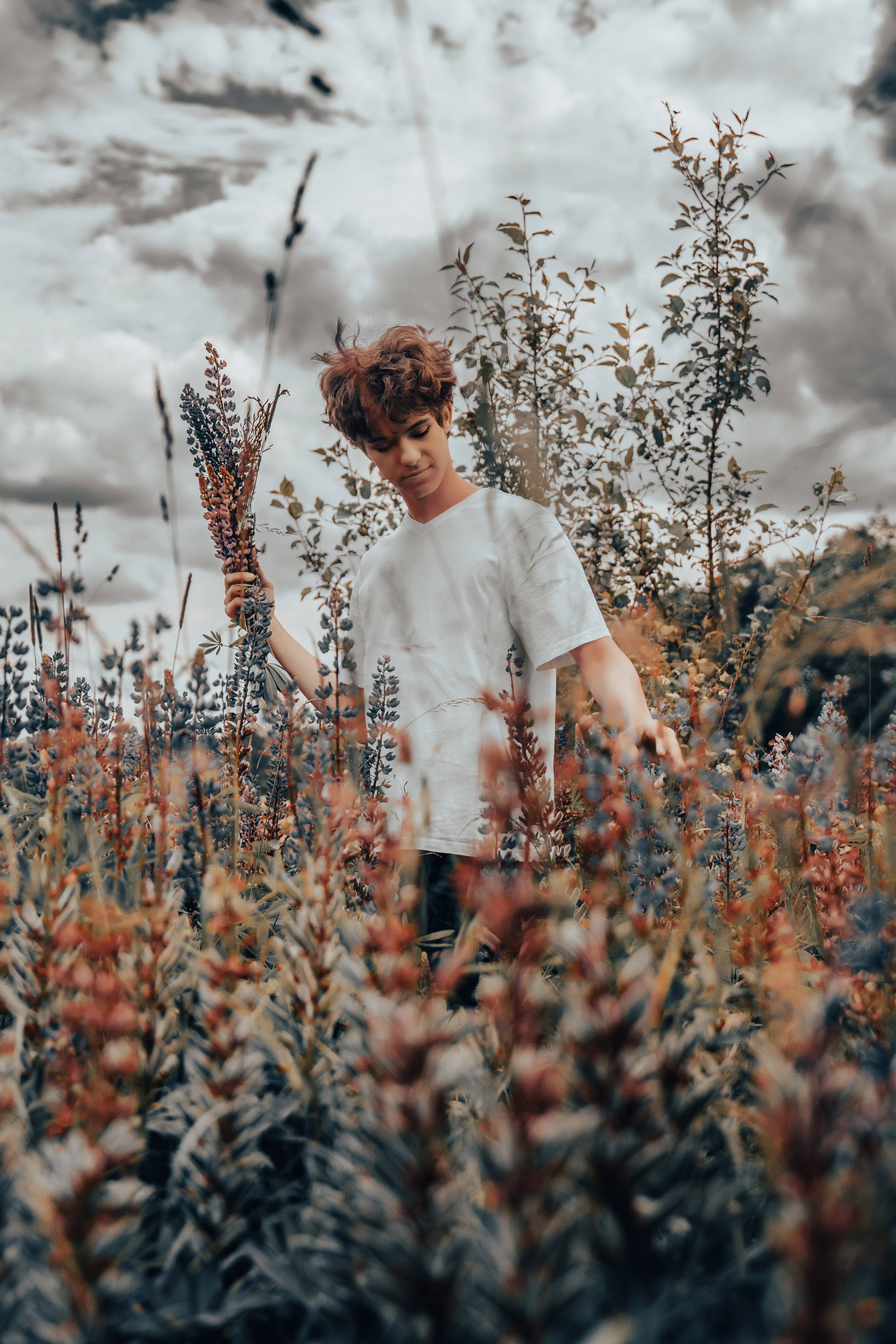 Фотосессия в поле. ТриМедиа Продакшн