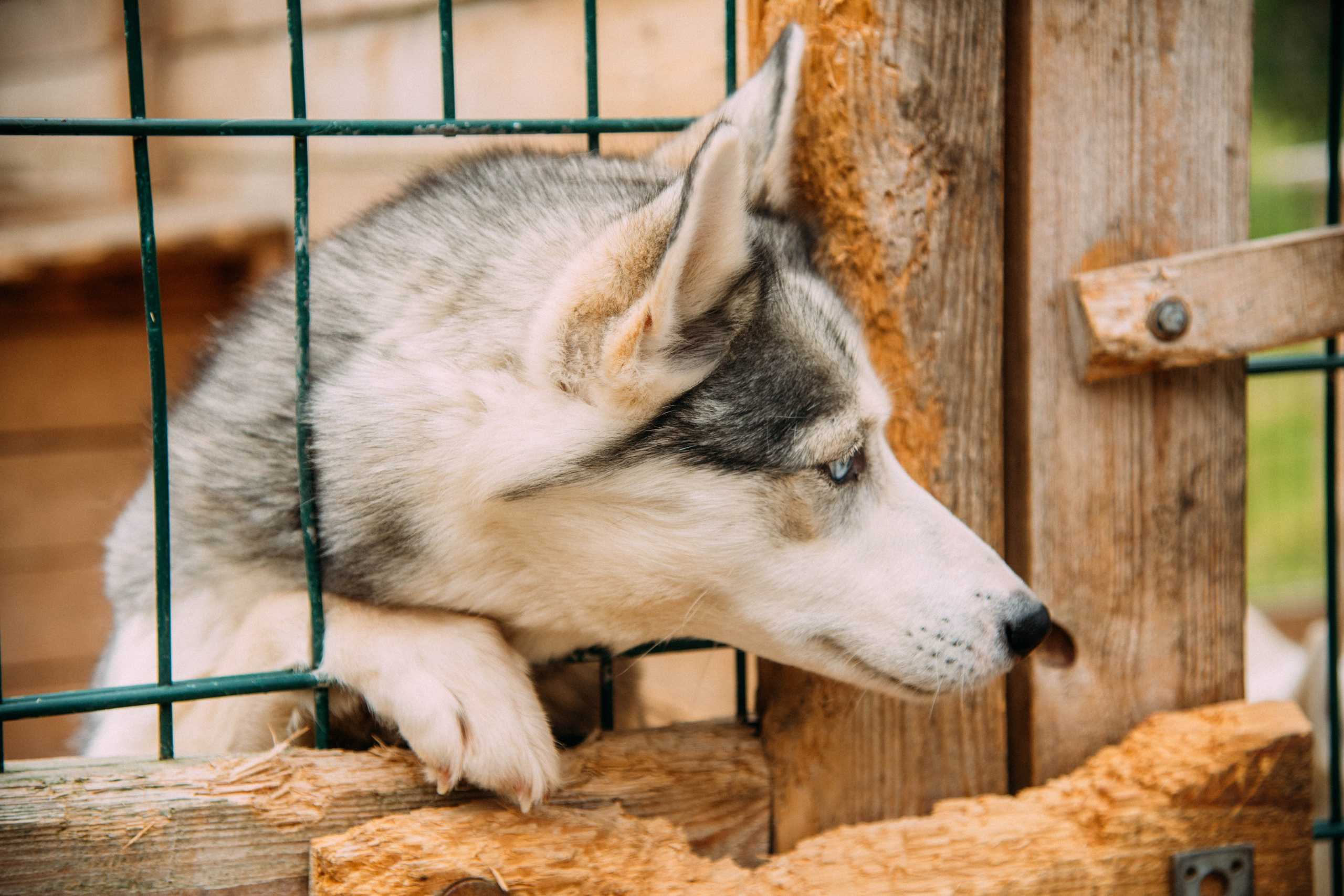 Кольский полуостров. Фотографирую для себя, своей семьи и друзей!